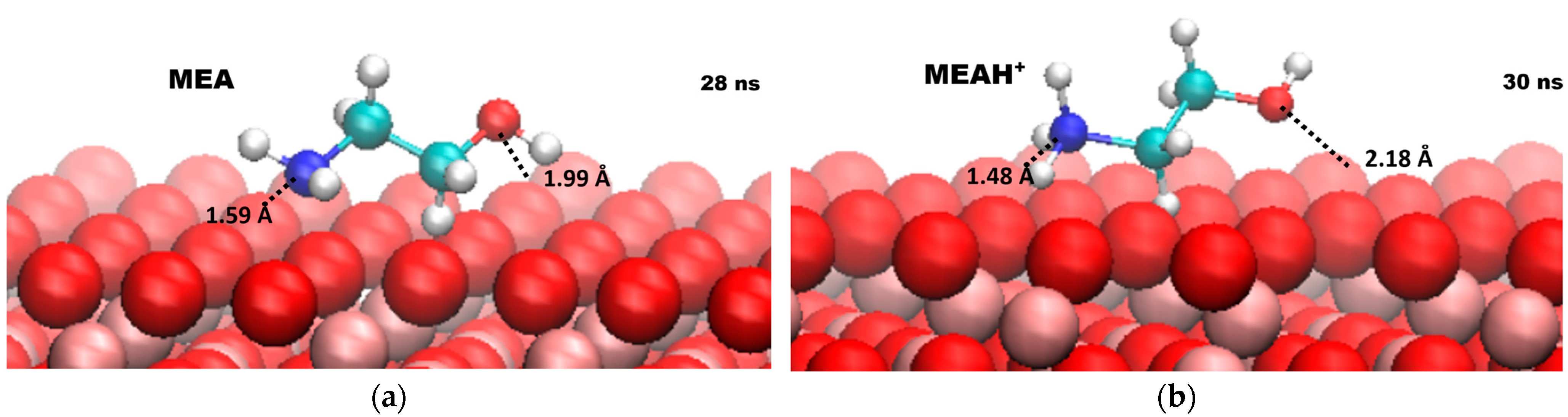Molecules 30 03197 g005