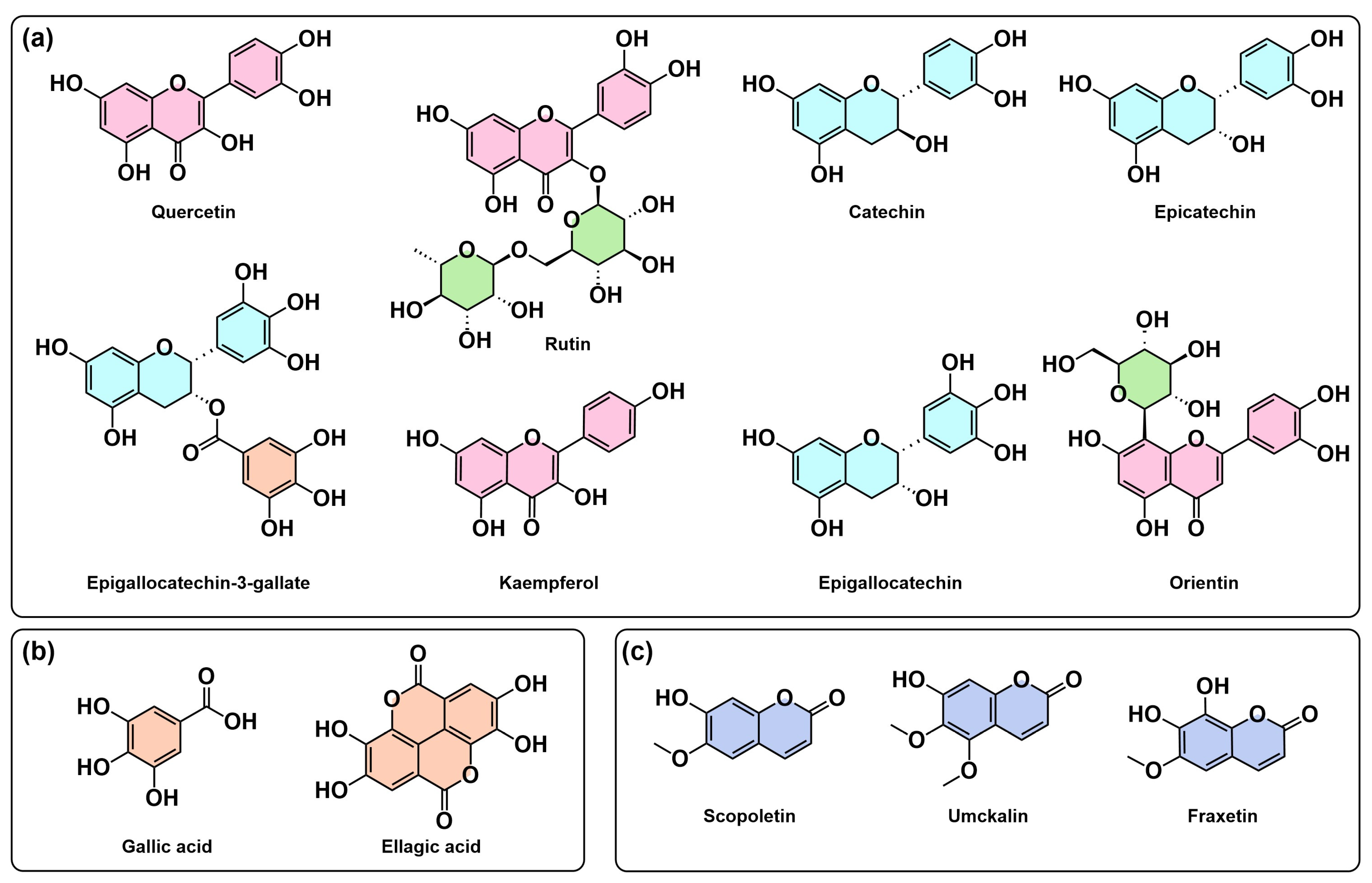 Molecules 30 03198 g003 Molecules 30 03198 g003