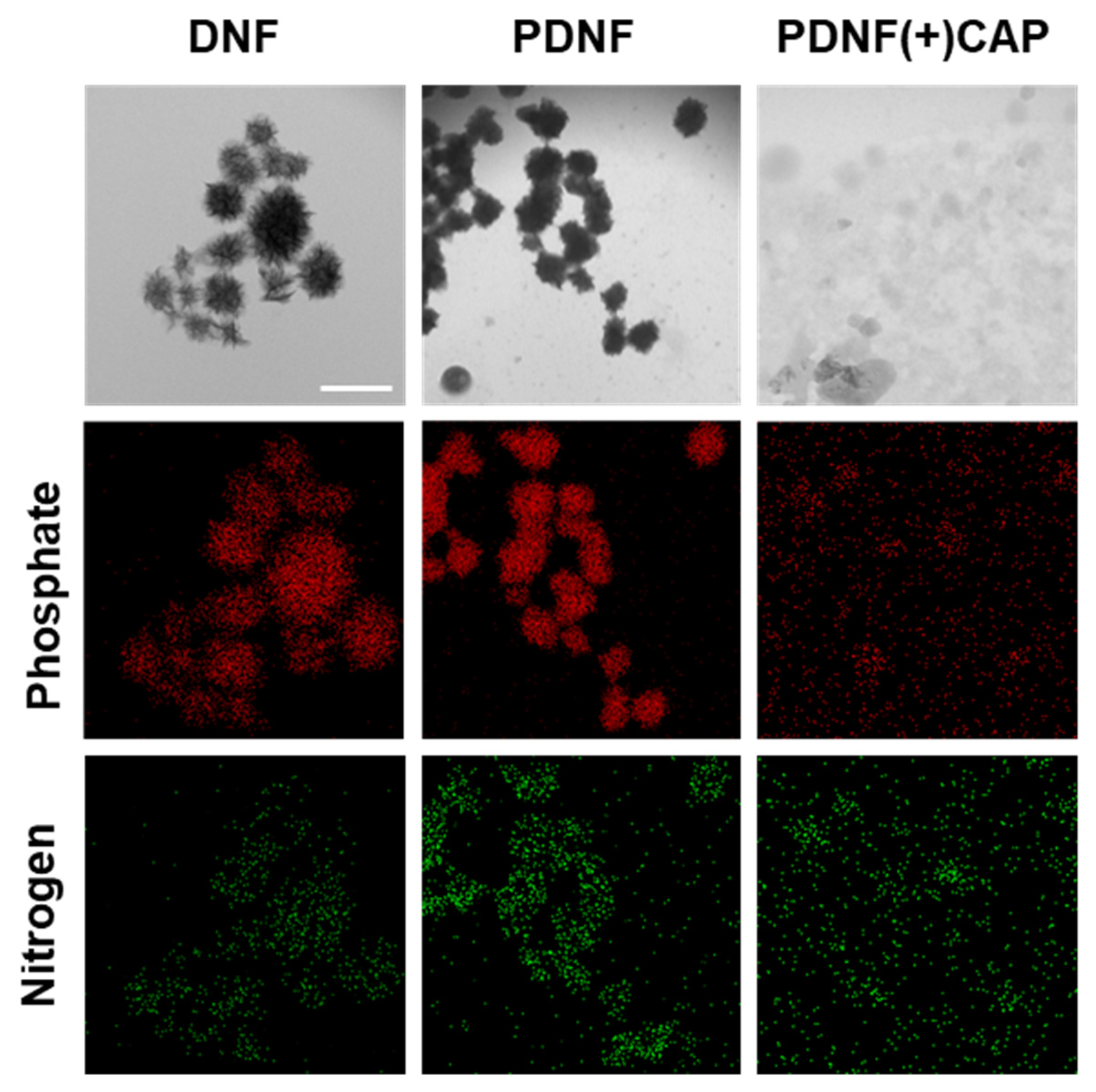 Molecules 30 03205 g001