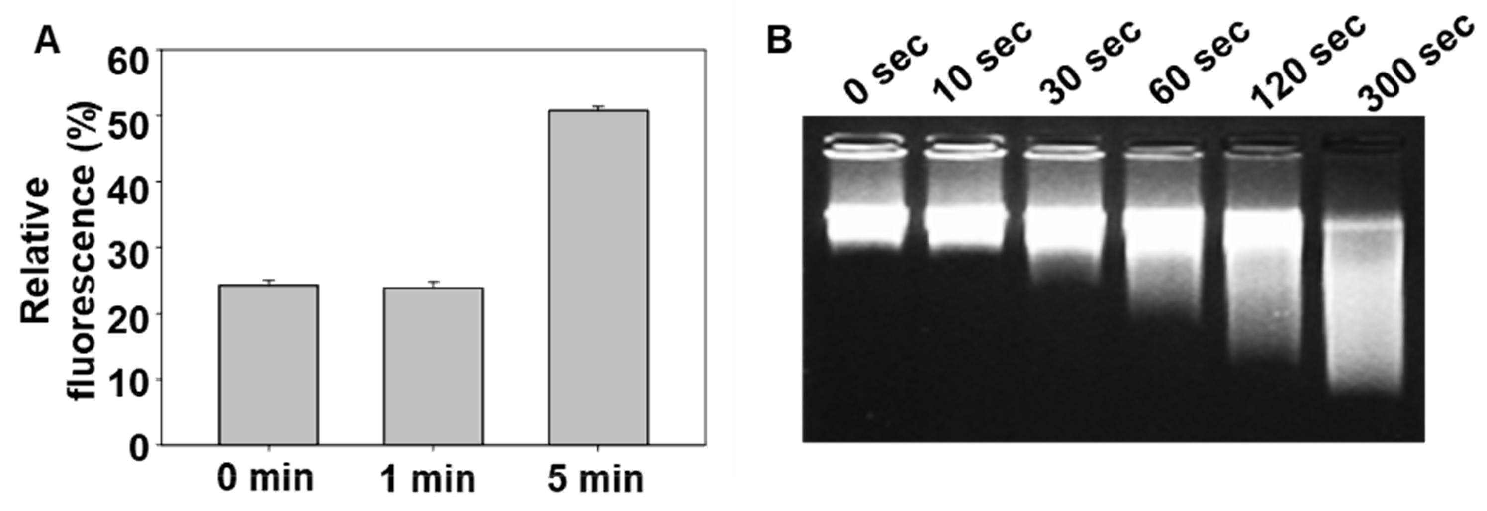 Molecules 30 03205 g002