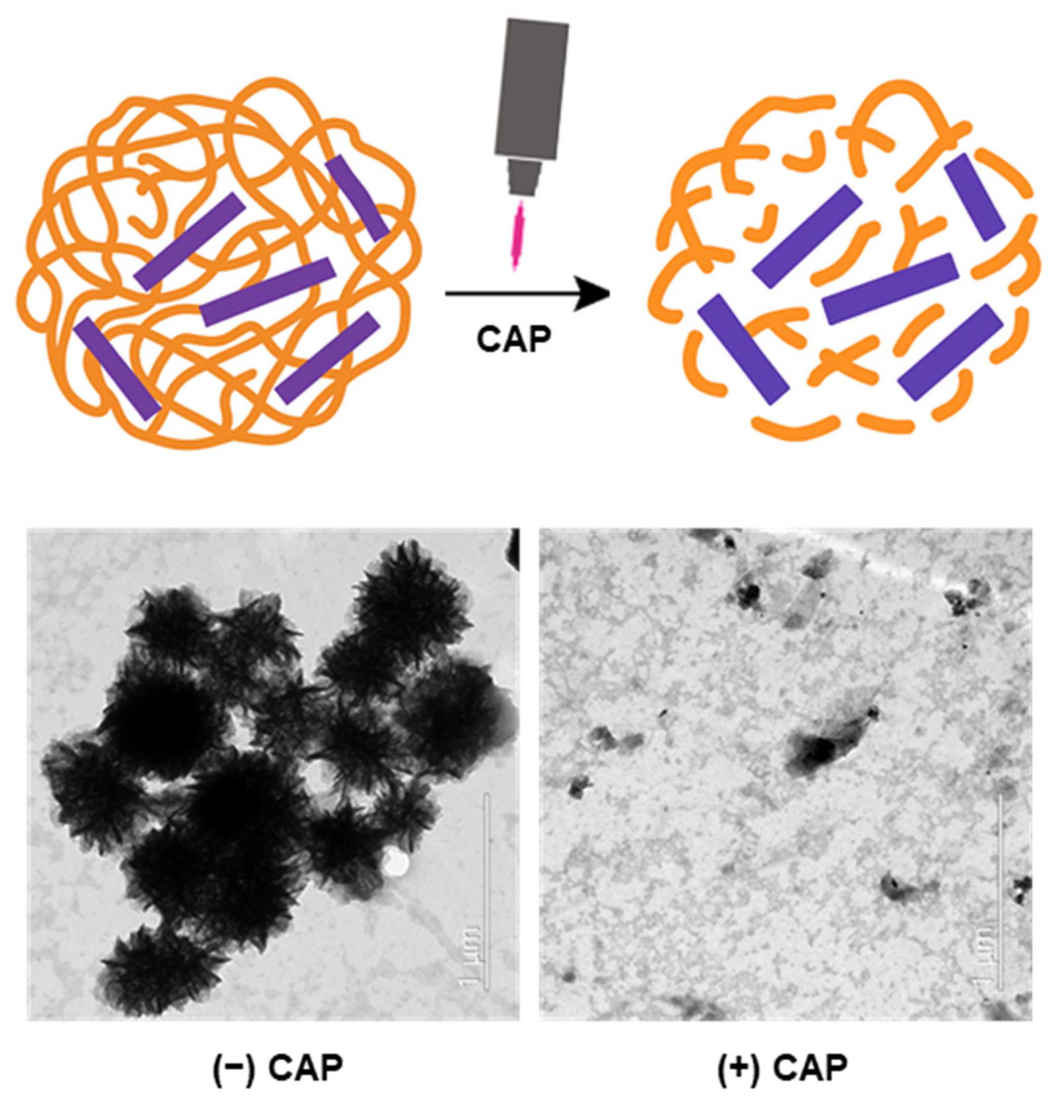 Molecules 30 03205 sch001