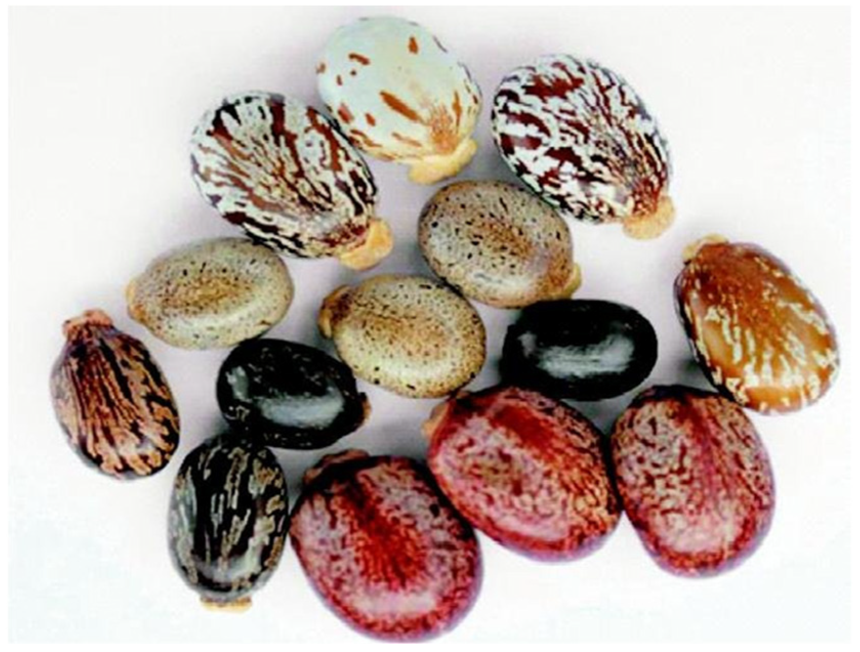 Molecules 30 03214 g005 Molecules 30 03214 g005