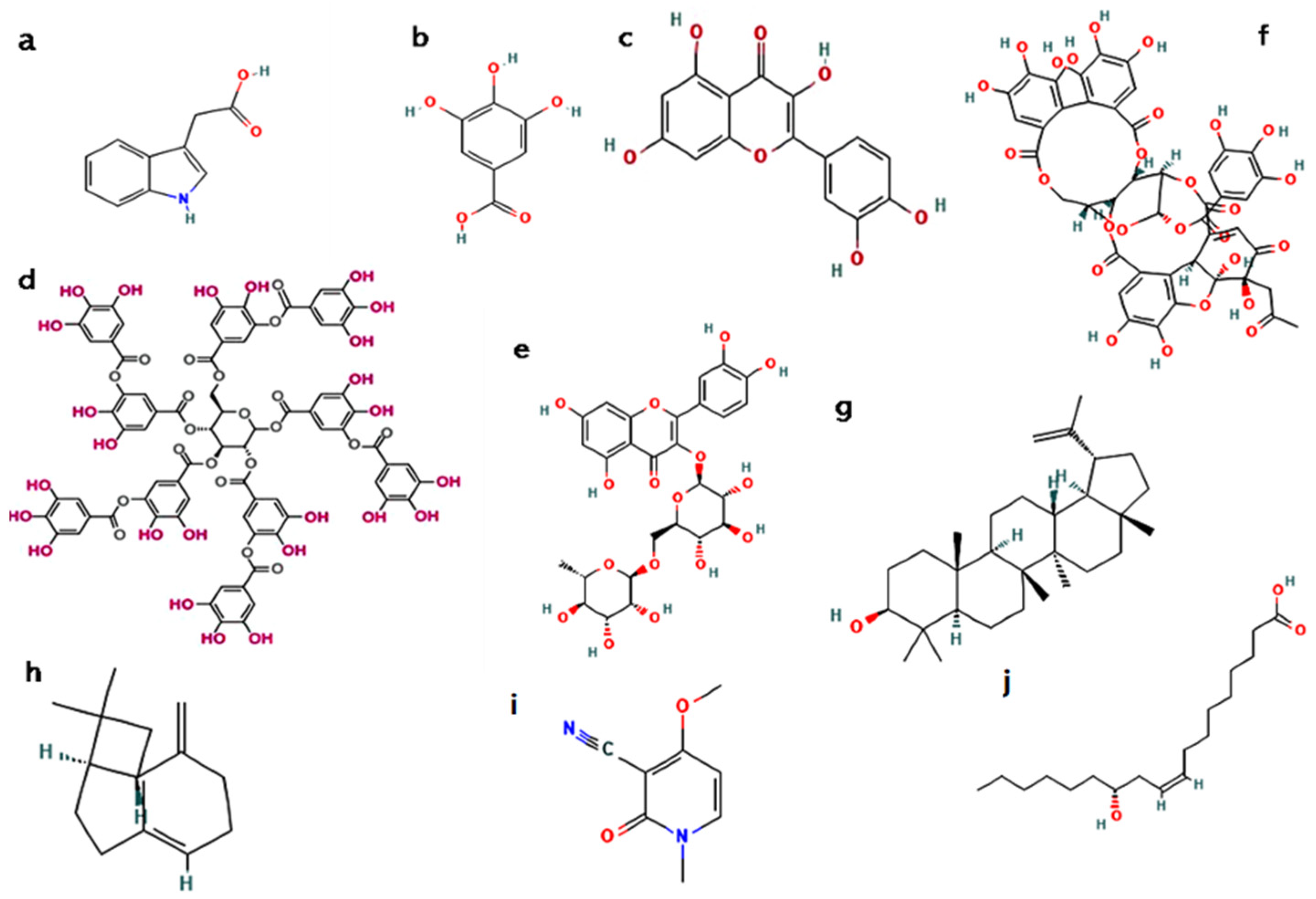 Molecules 30 03214 g006 Molecules 30 03214 g006