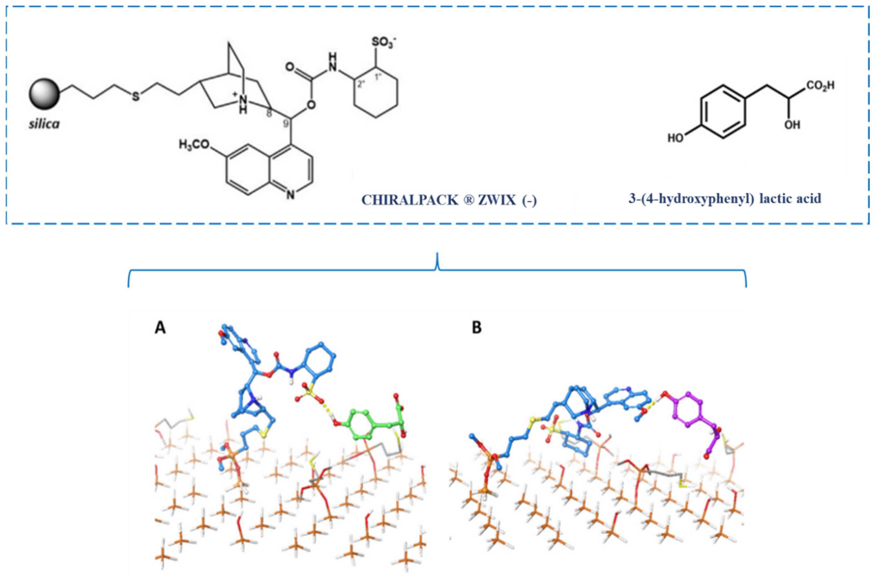 Molecules 30 03218 g009