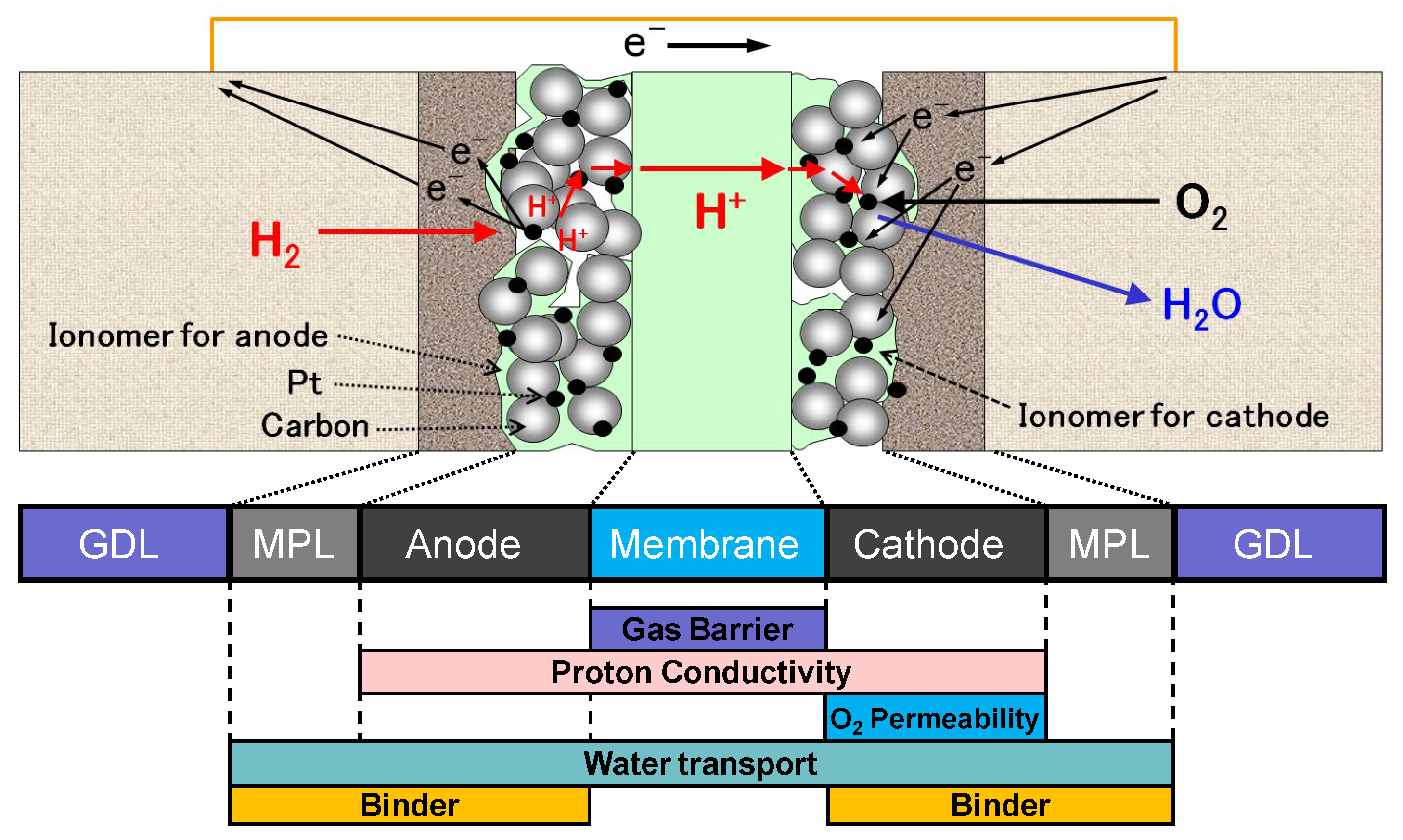 Molecules 30 03220 g004