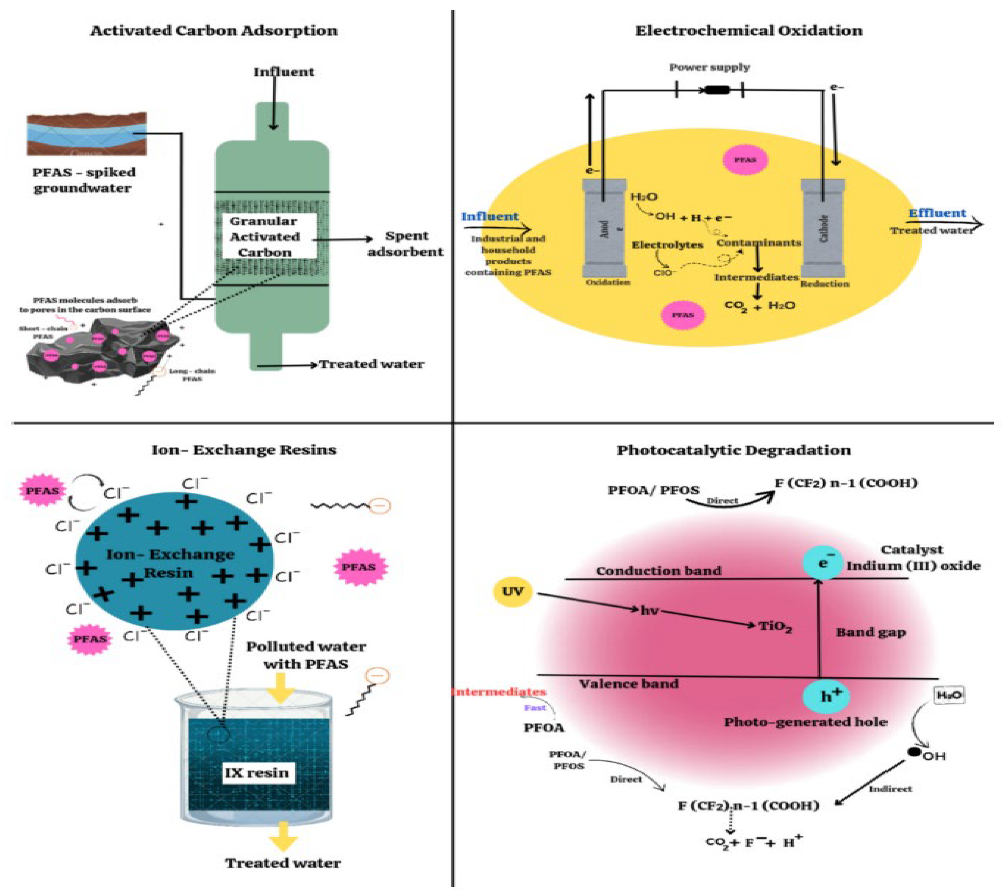 Molecules 30 03220 g006