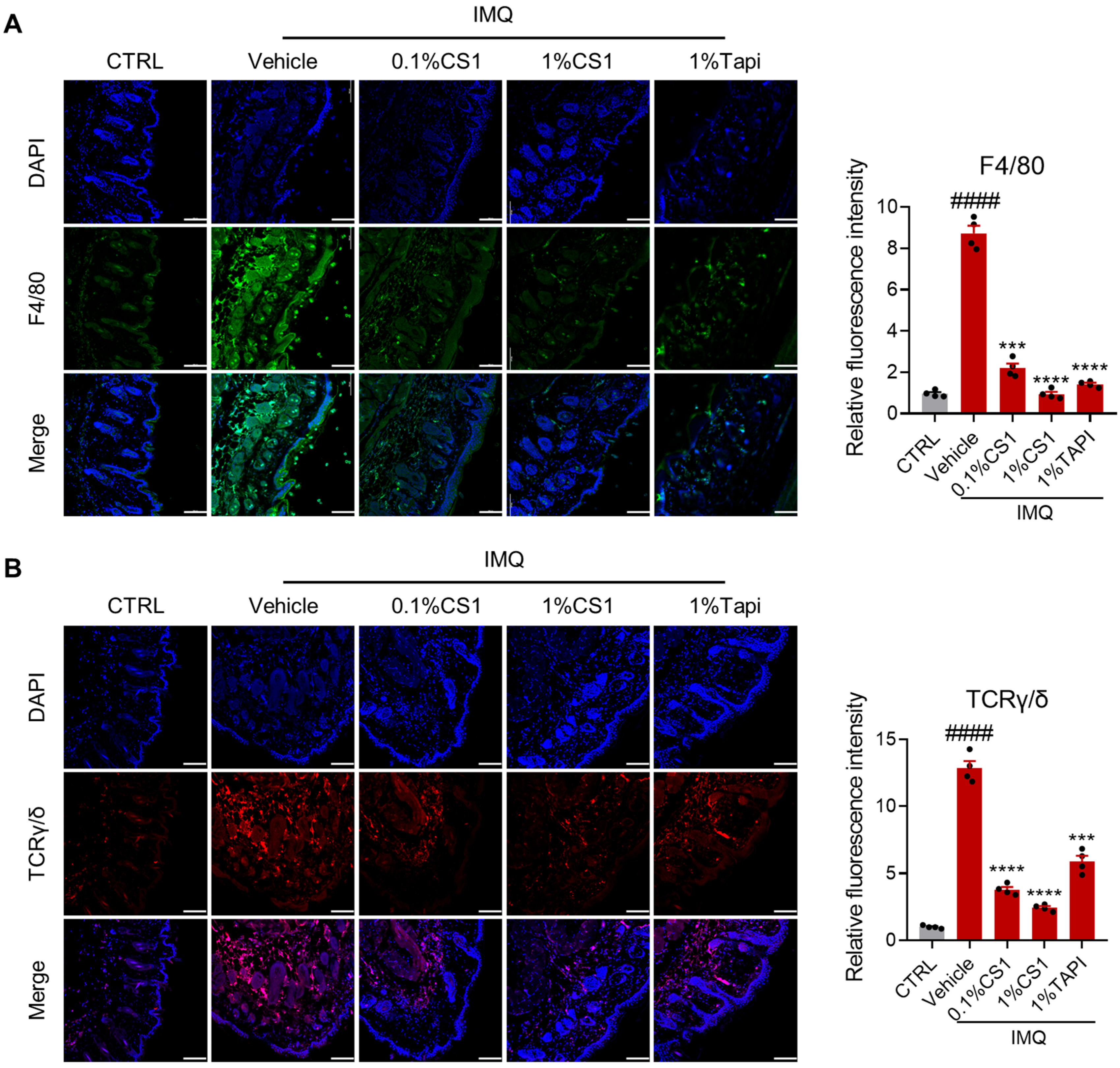 Molecules 30 03224 g004
