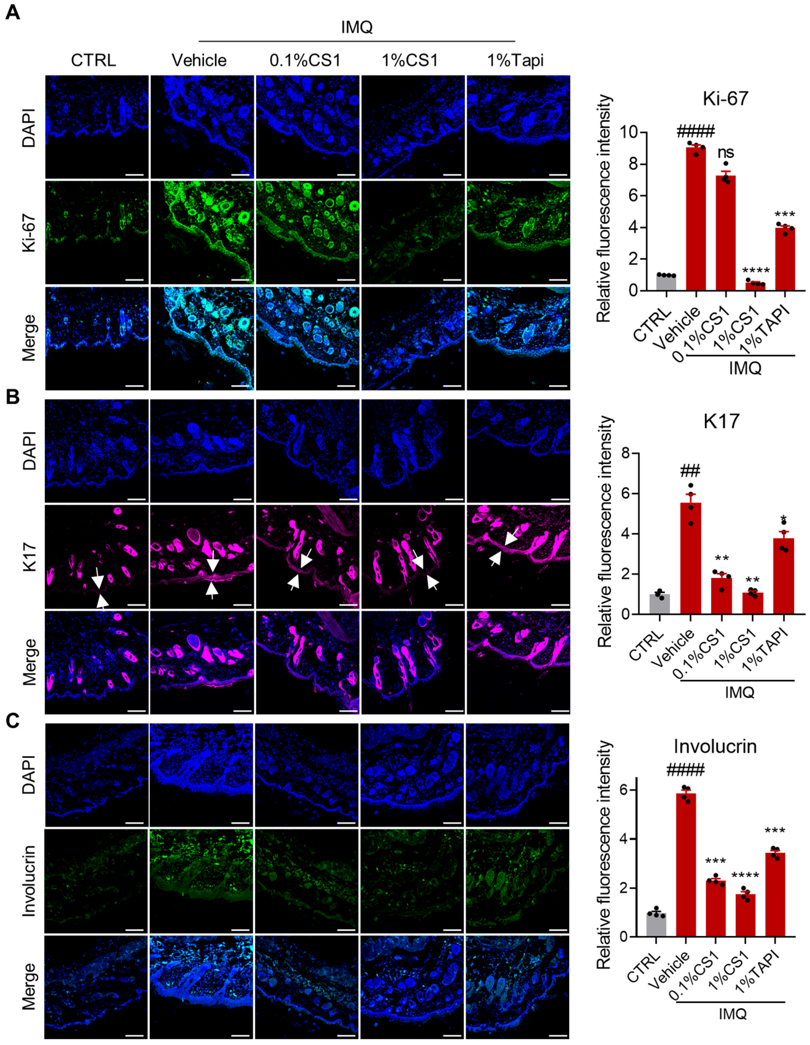 Molecules 30 03224 g005