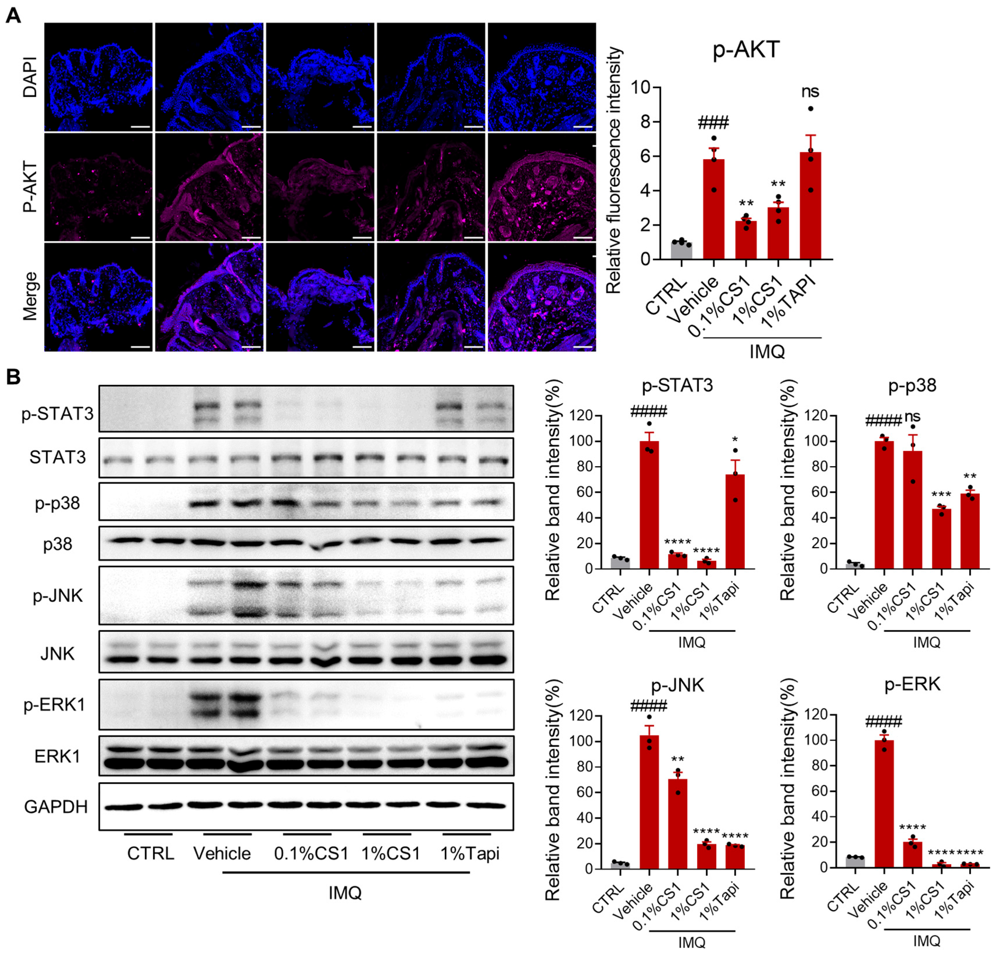 Molecules 30 03224 g006