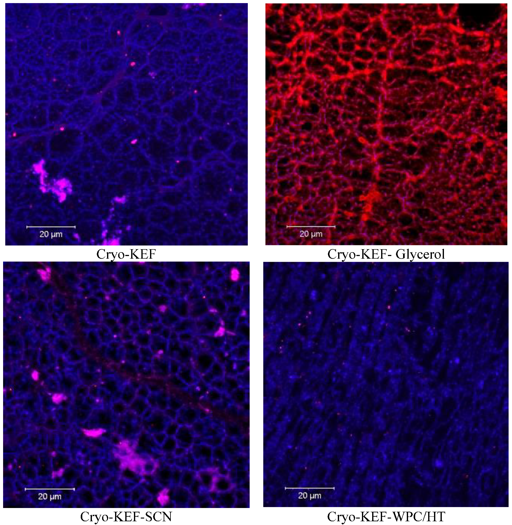 Molecules 30 03230 g002