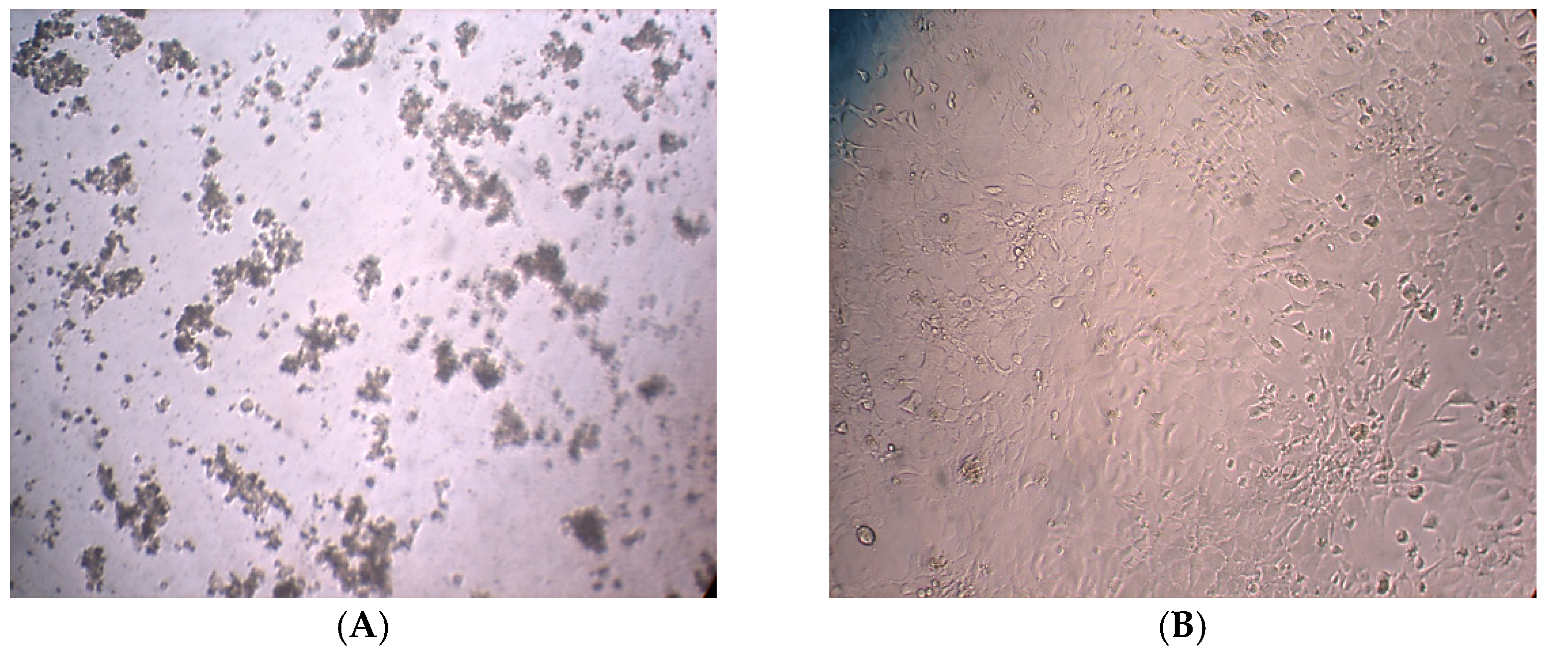 Molecules 30 03232 g002