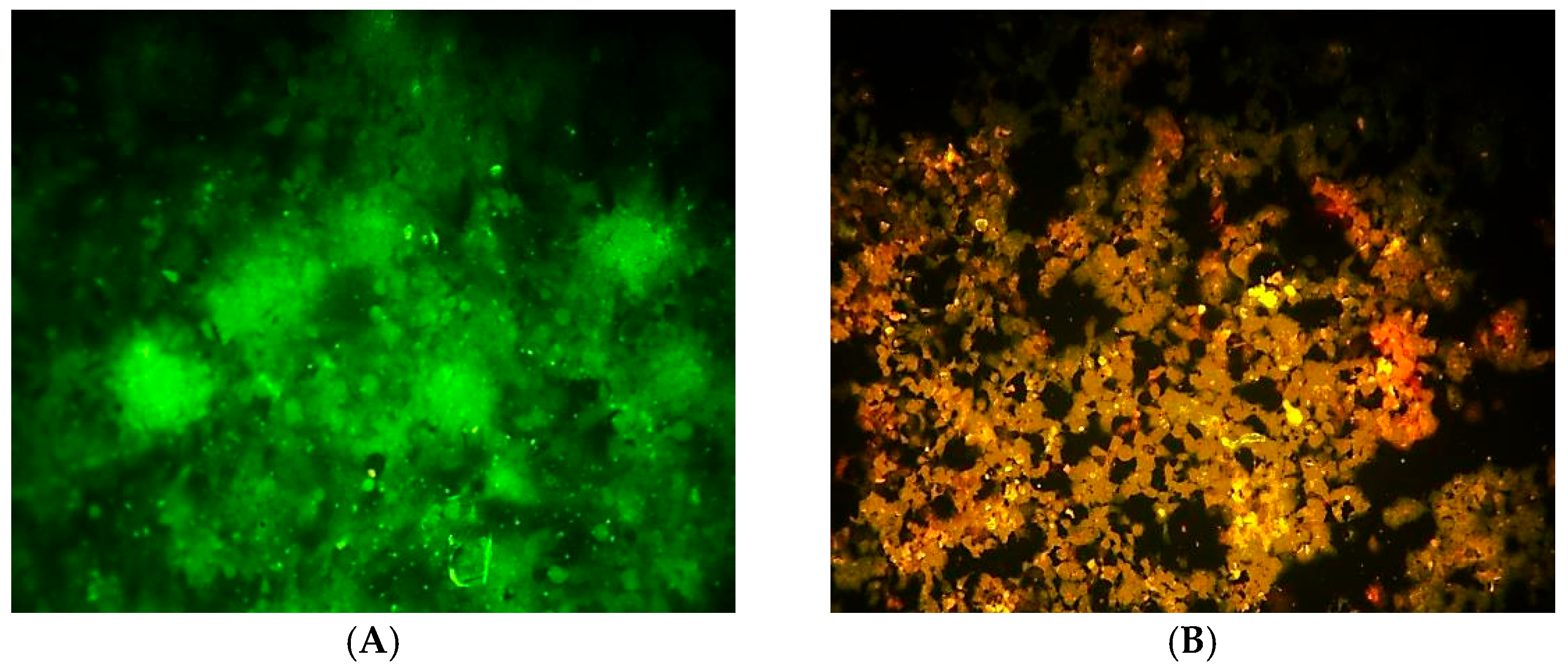 Molecules 30 03232 g007