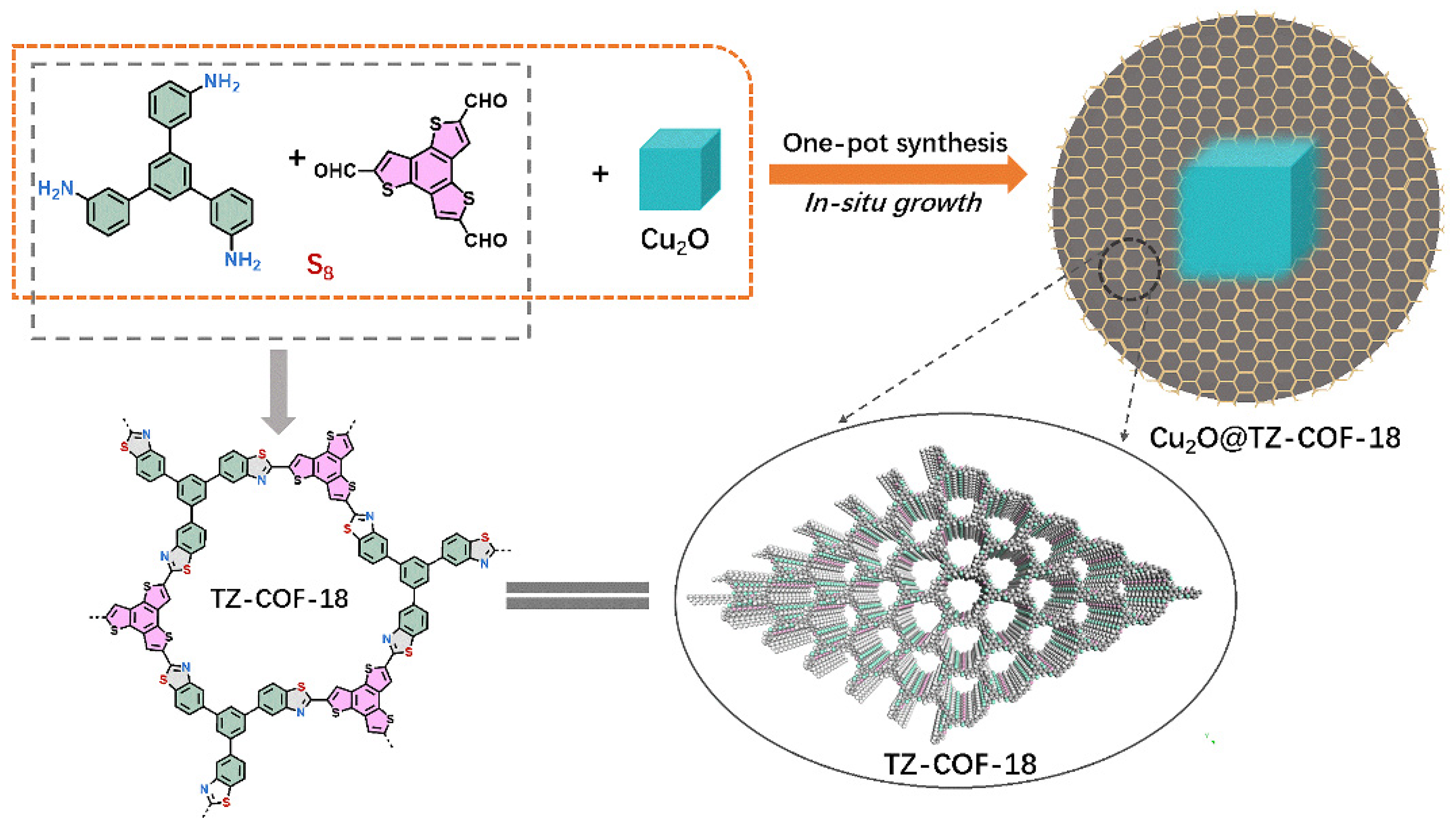 Molecules 30 03233 g001