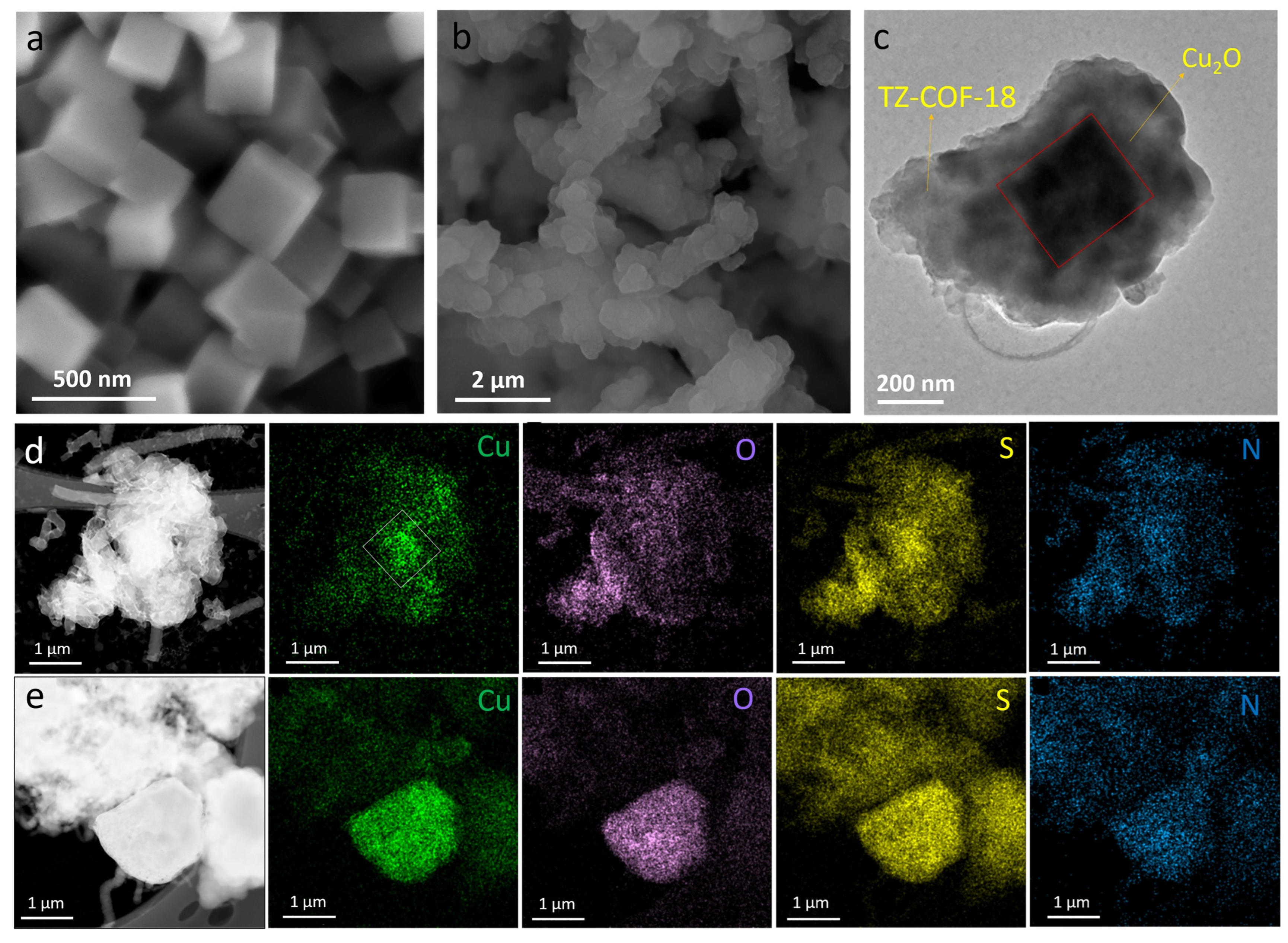 Molecules 30 03233 g004