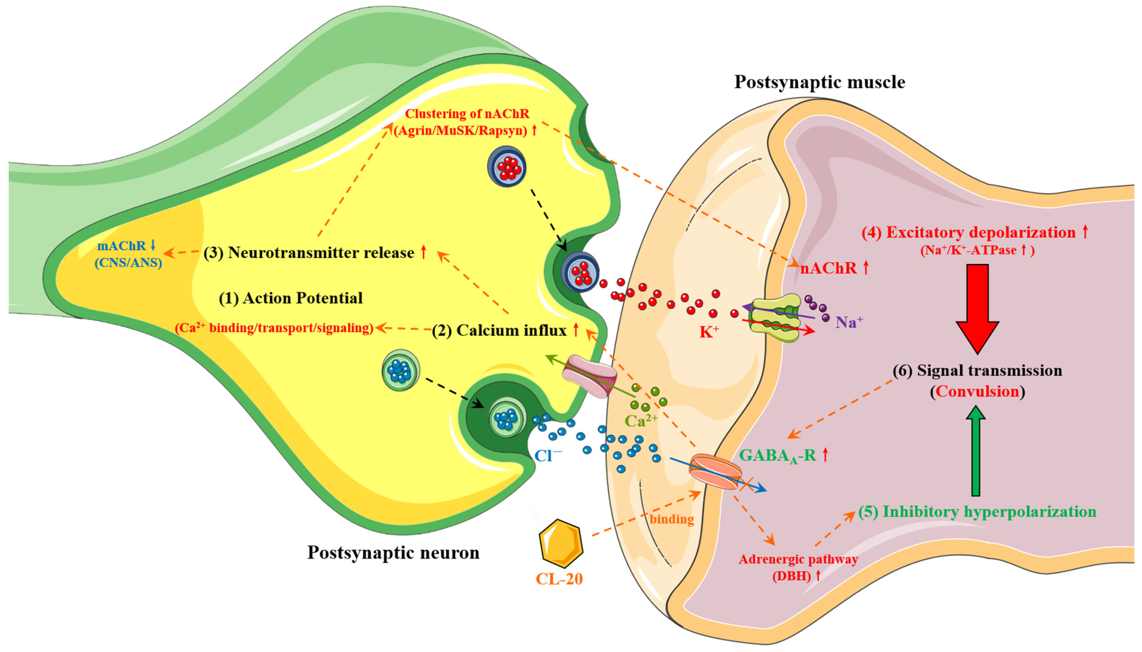 Molecules 30 03234 g003 Molecules 30 03234 g003