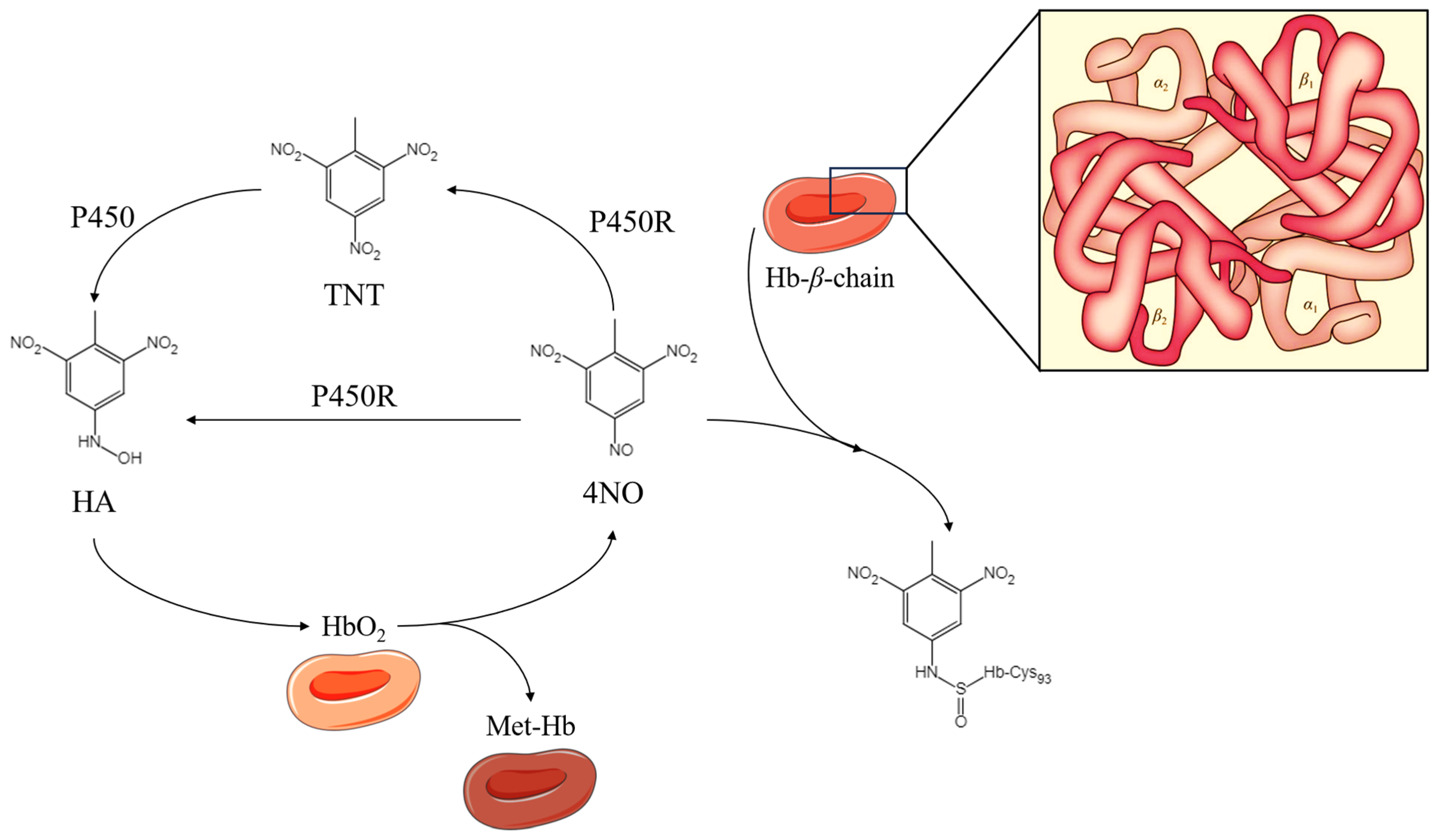 Molecules 30 03234 g004 Molecules 30 03234 g004