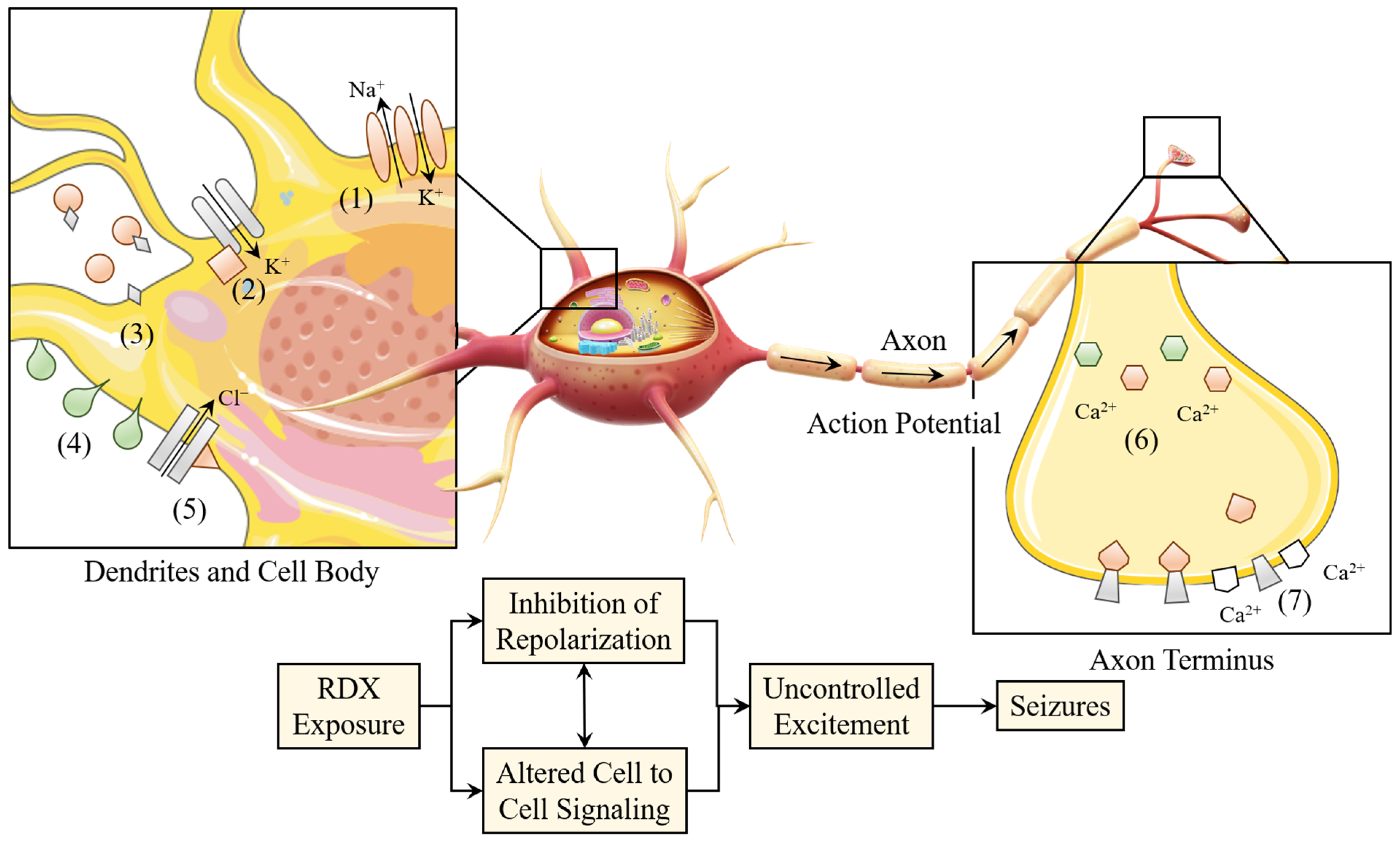 Molecules 30 03234 g005 Molecules 30 03234 g005