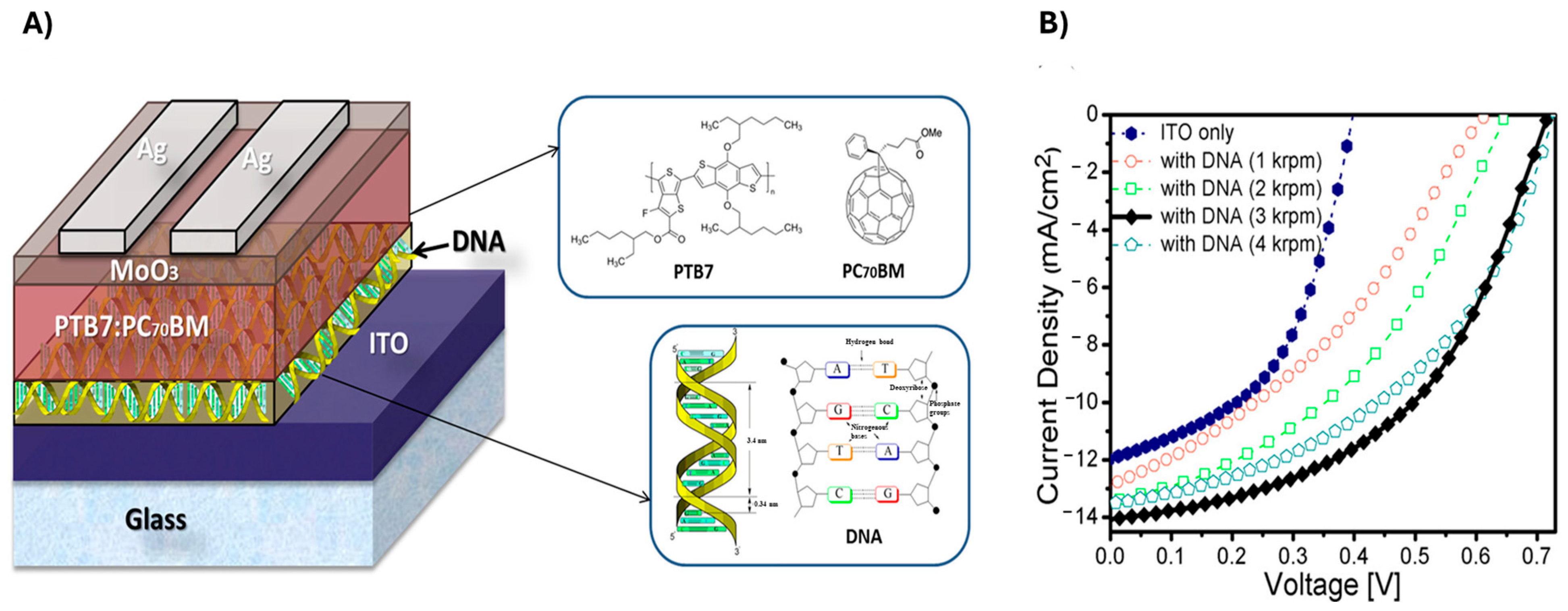 Molecules 30 03236 g005