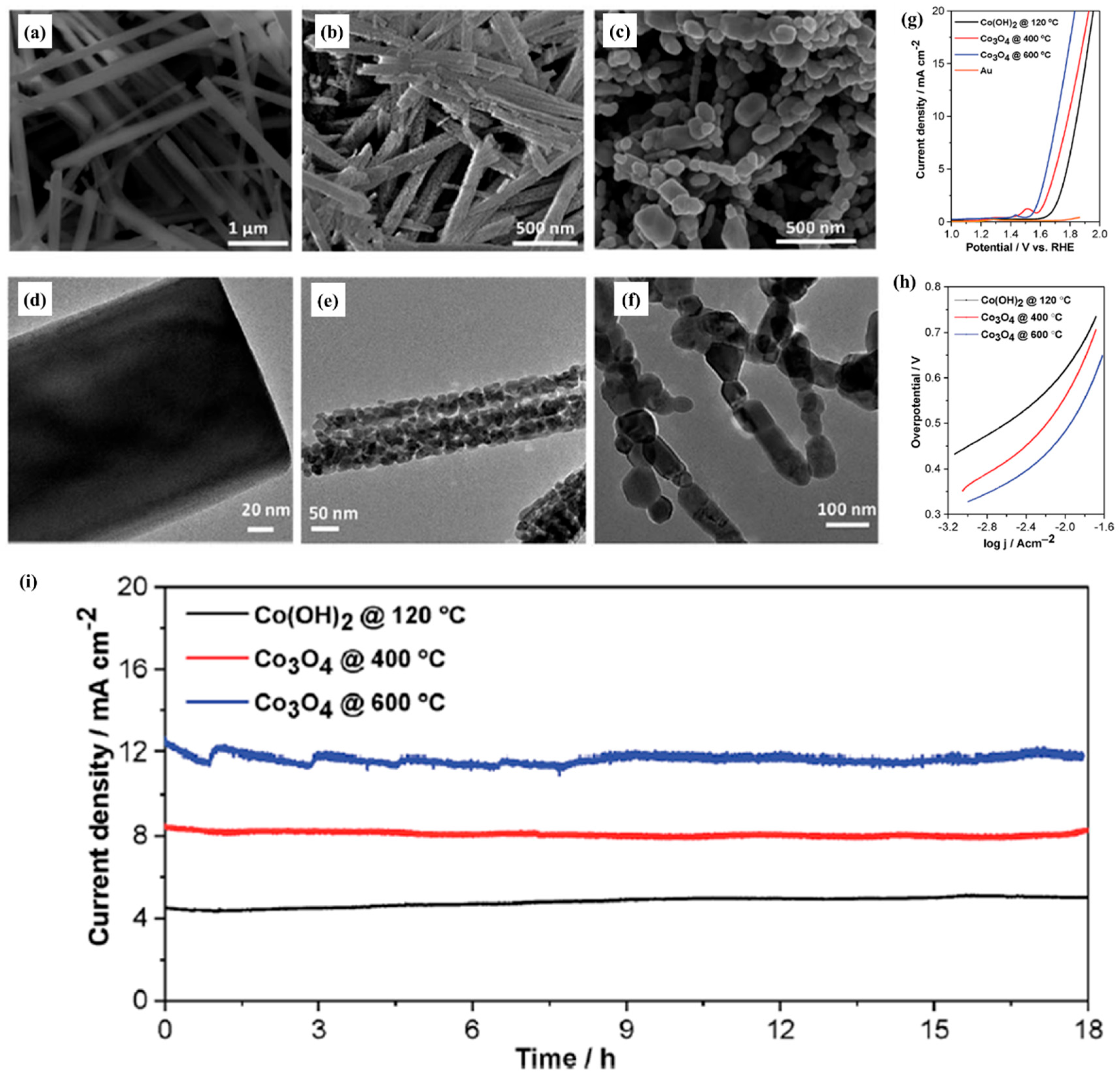 Molecules 30 03238 g001 Molecules 30 03238 g001