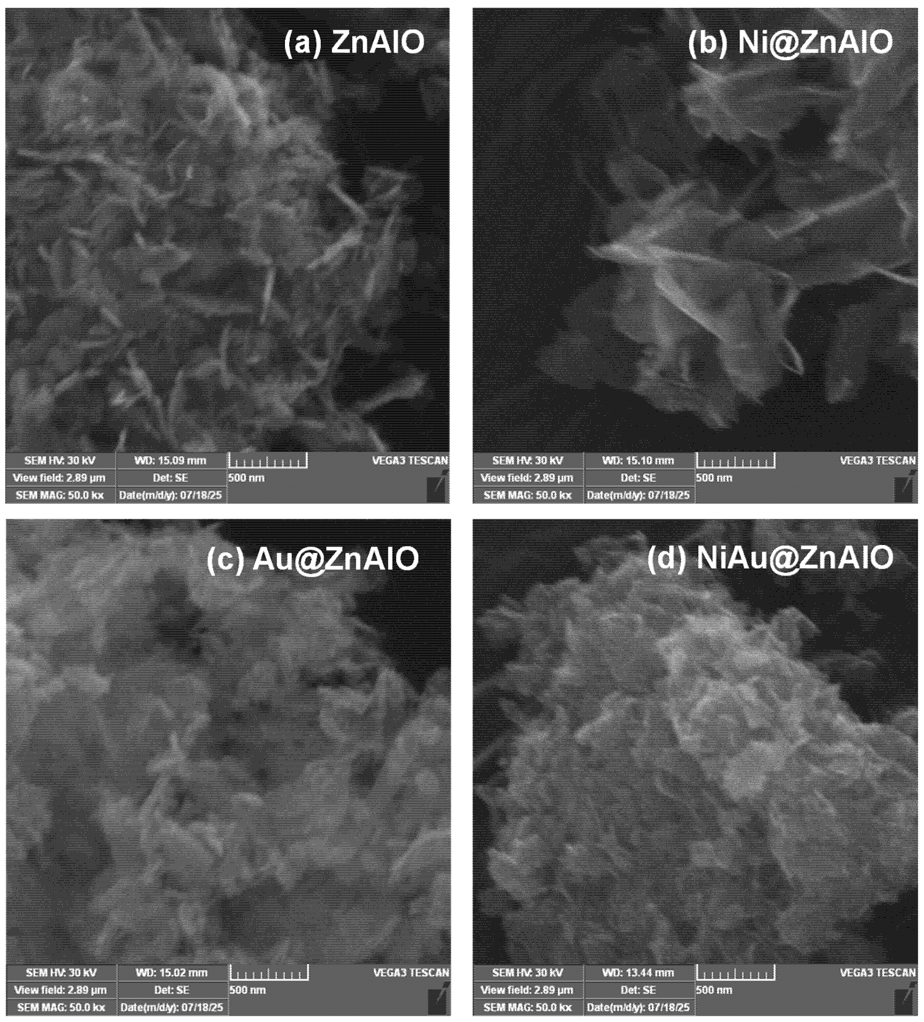 Molecules 30 03249 g002