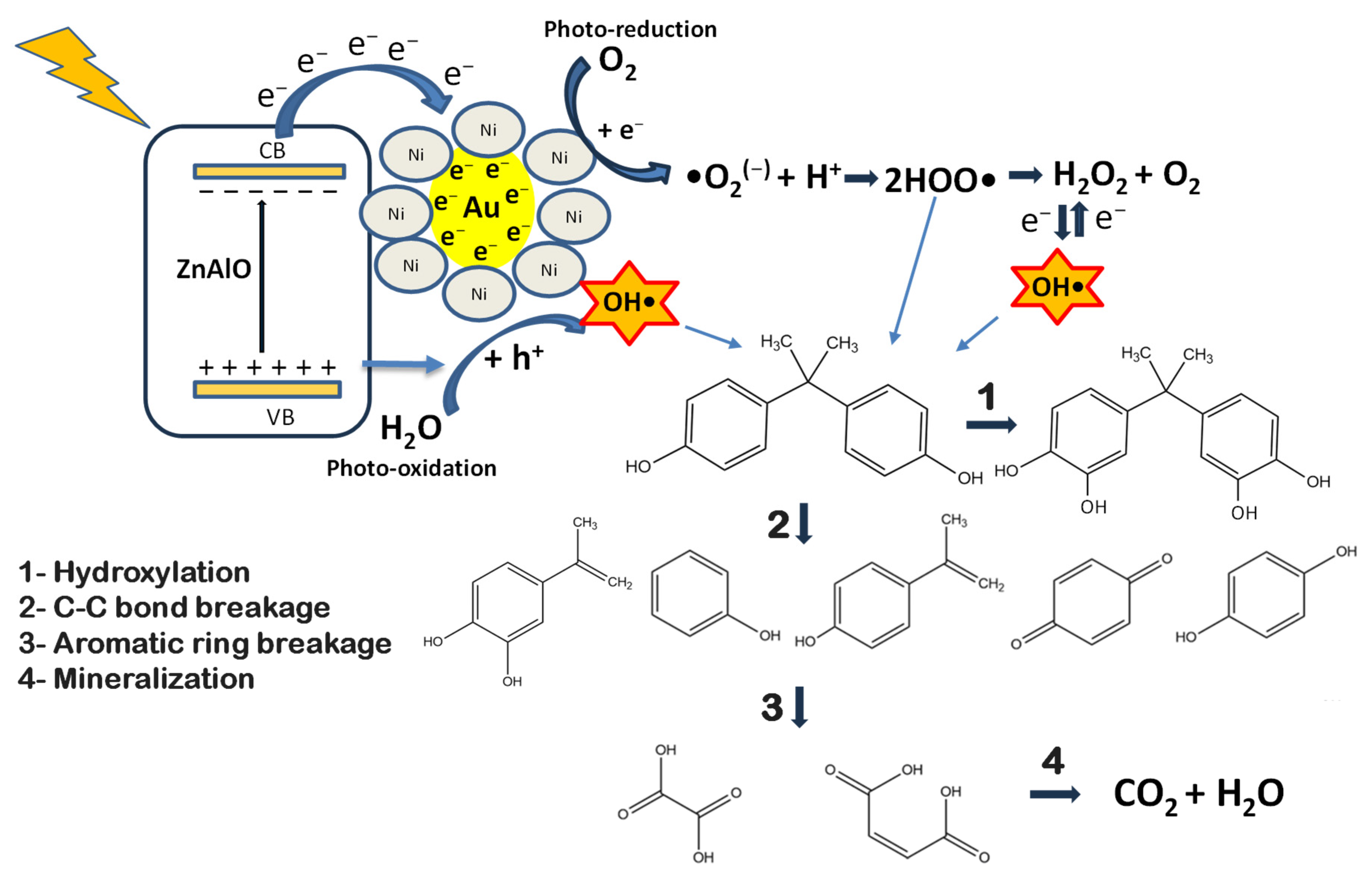 Molecules 30 03249 sch001