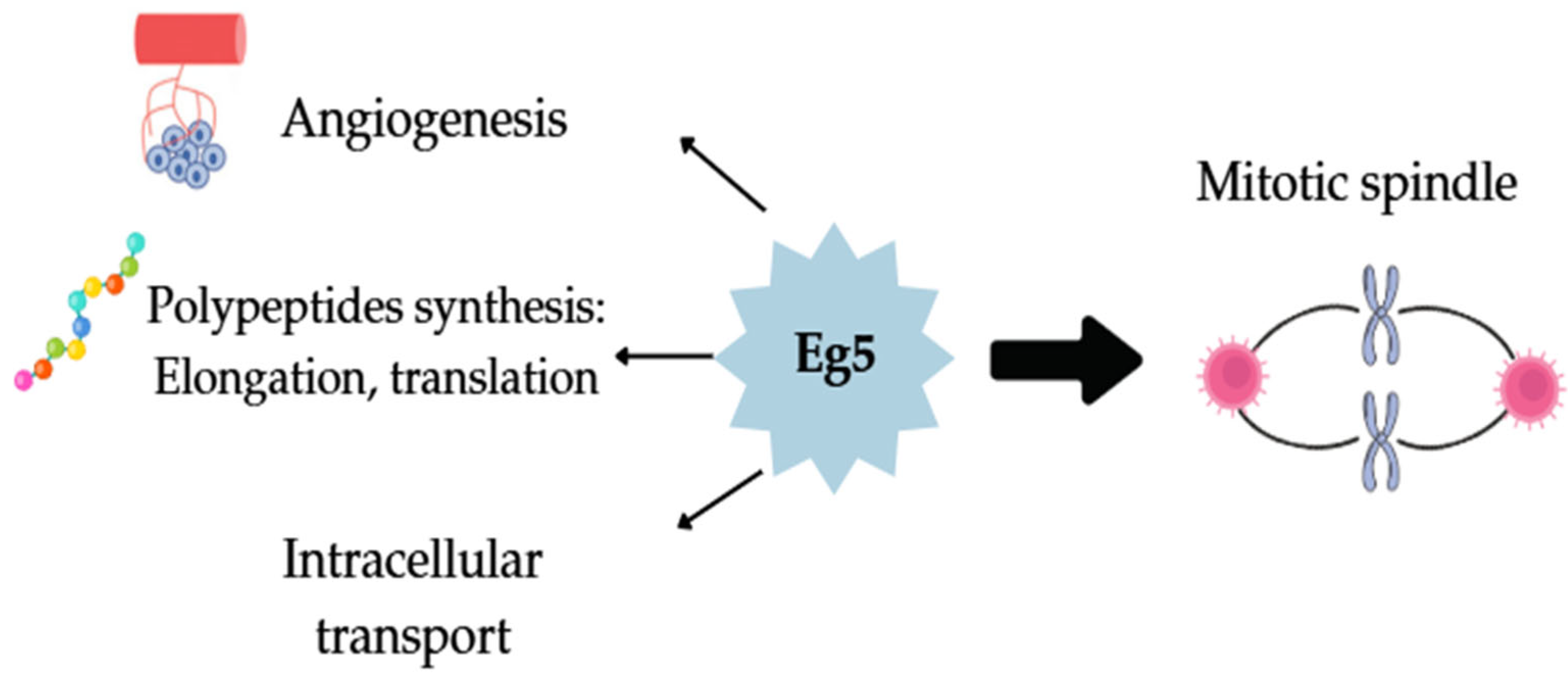 Molecules 30 03256 g001