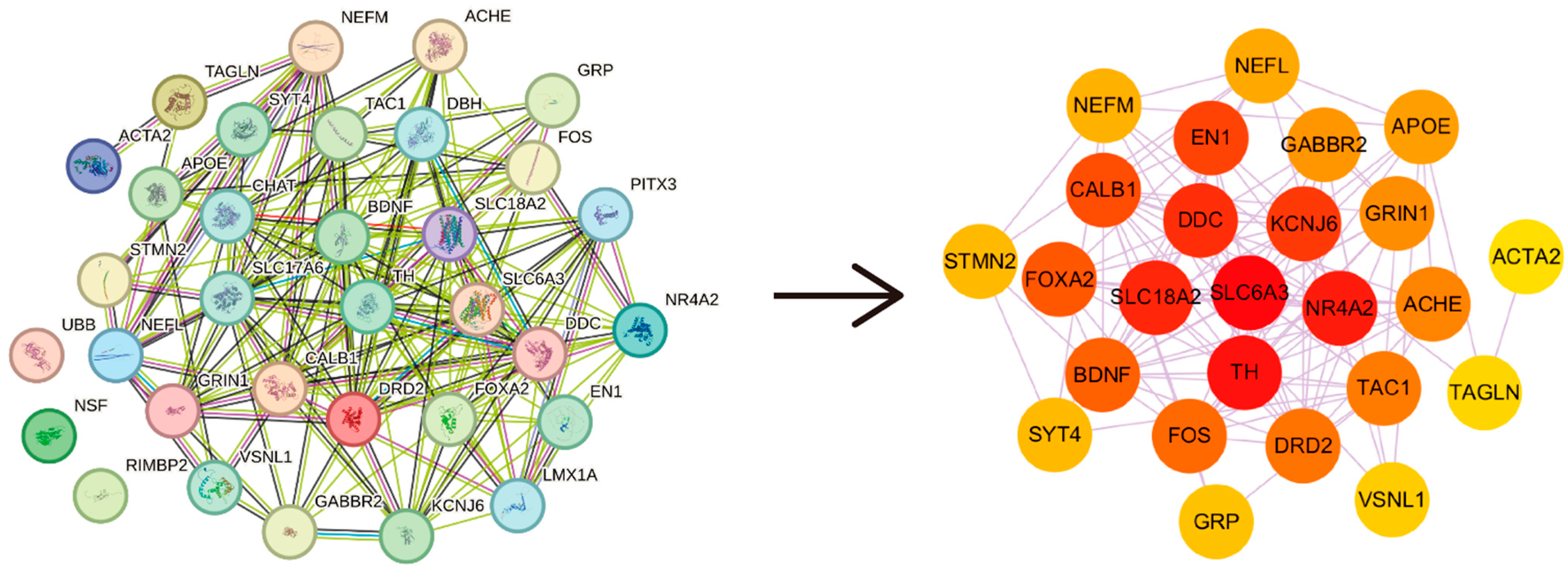 Molecules 30 03265 g001
