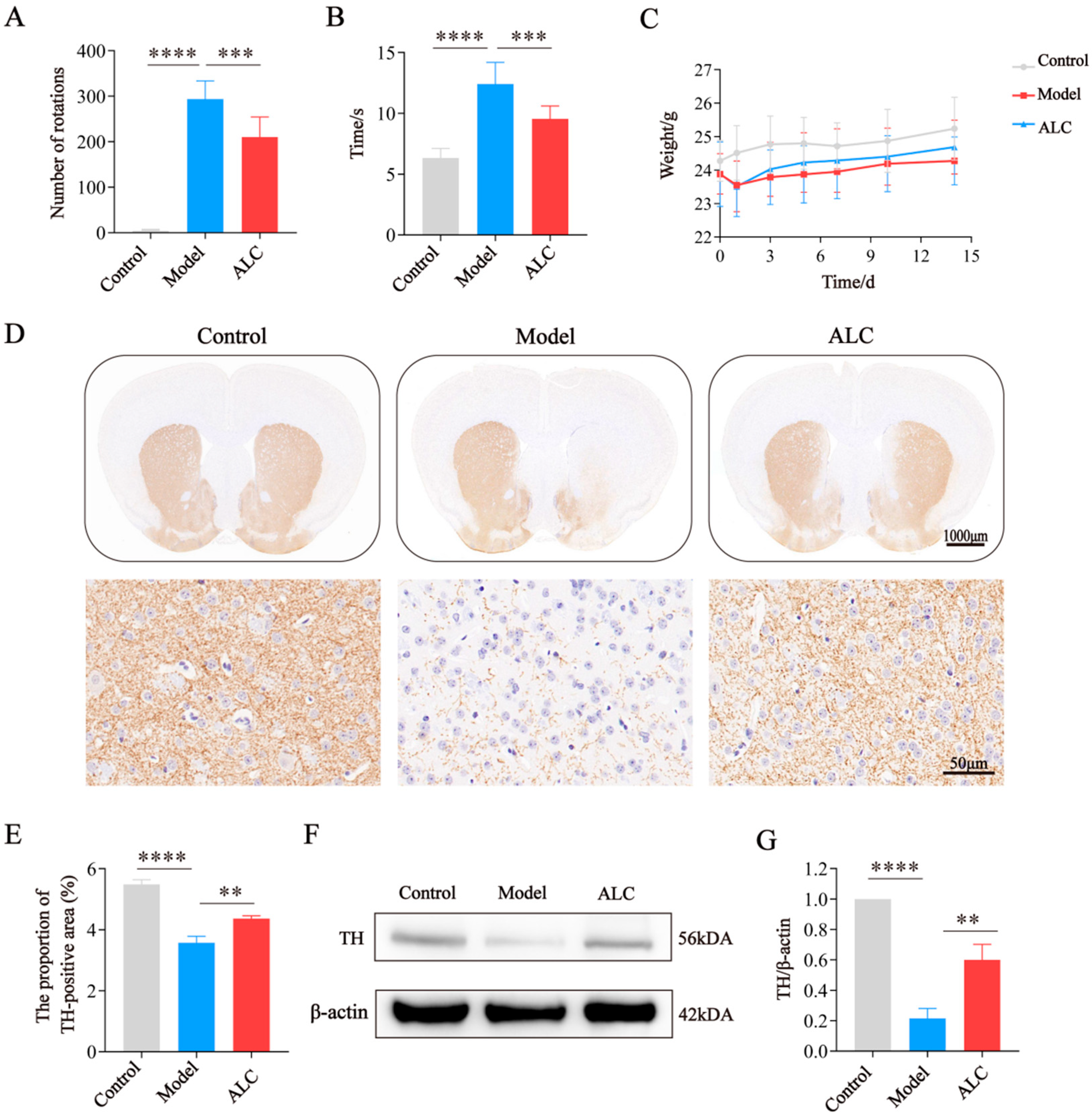 Molecules 30 03265 g005