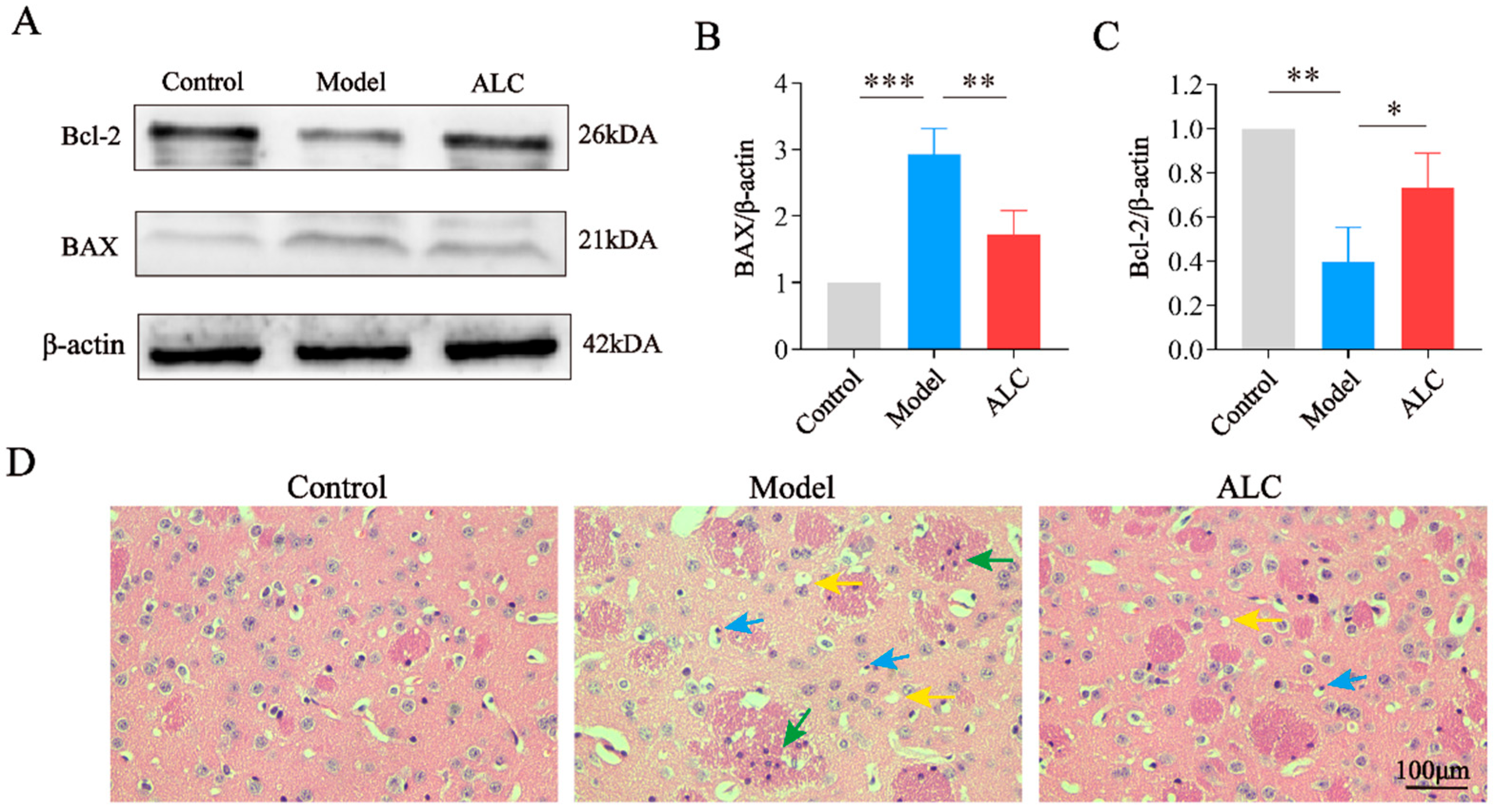 Molecules 30 03265 g006