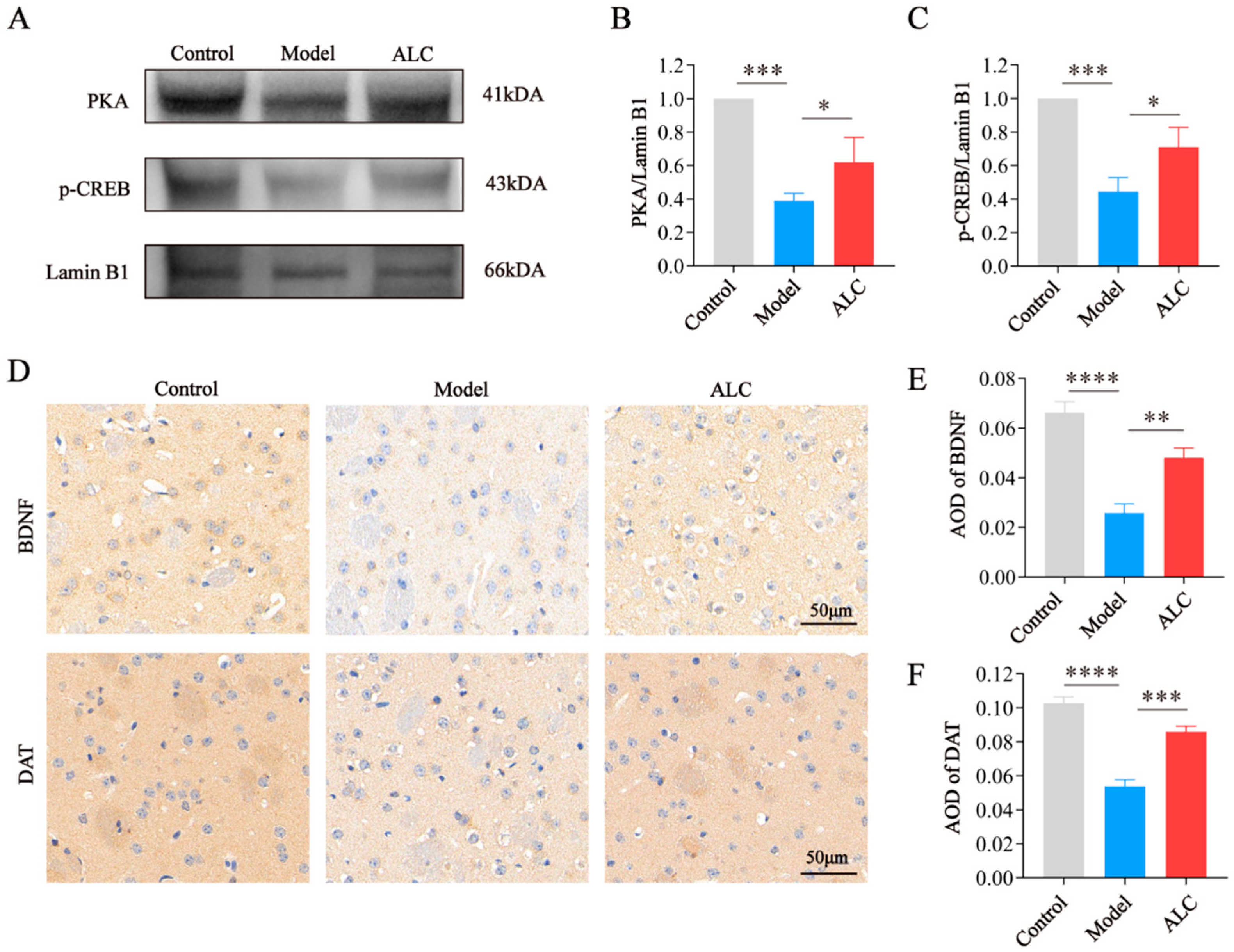 Molecules 30 03265 g007