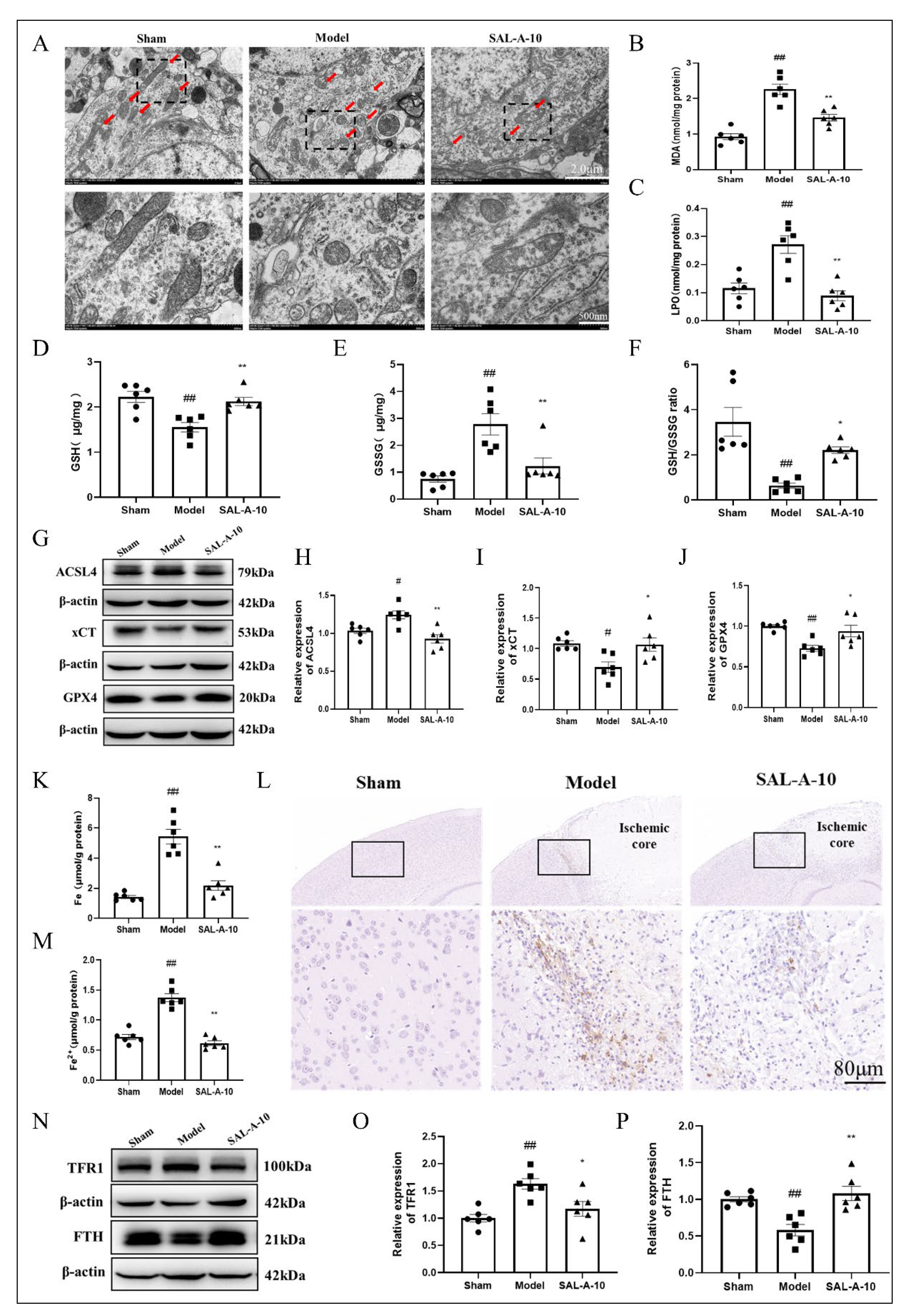 Molecules 30 03266 g003