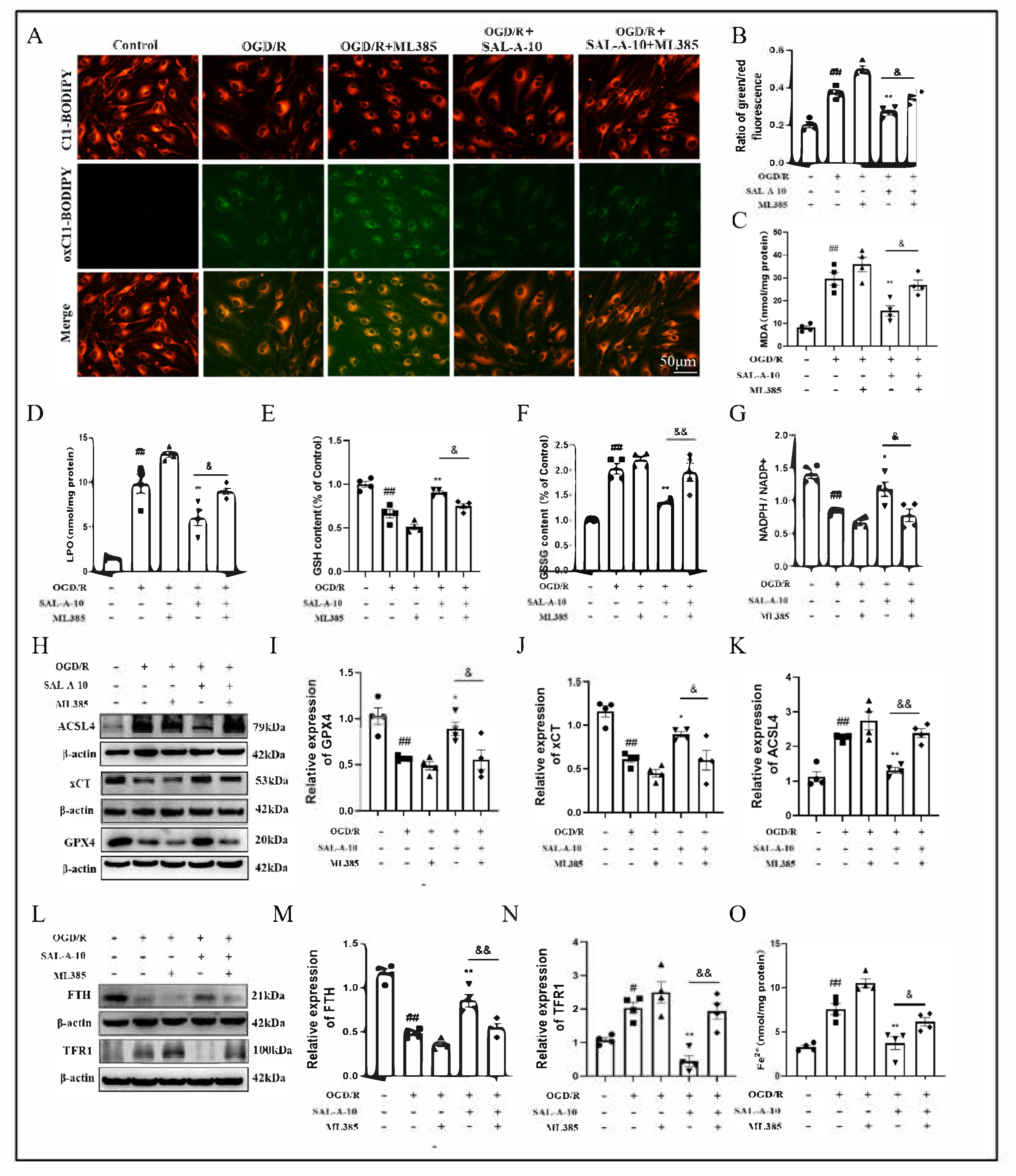 Molecules 30 03266 g005