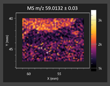 Molecules 30 03268 i003 Molecules 30 03268 i003