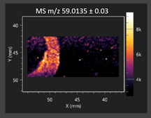 Molecules 30 03268 i004 Molecules 30 03268 i004