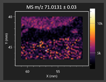 Molecules 30 03268 i005 Molecules 30 03268 i005