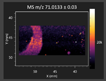 Molecules 30 03268 i006 Molecules 30 03268 i006