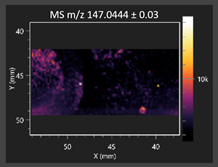 Molecules 30 03268 i012 Molecules 30 03268 i012