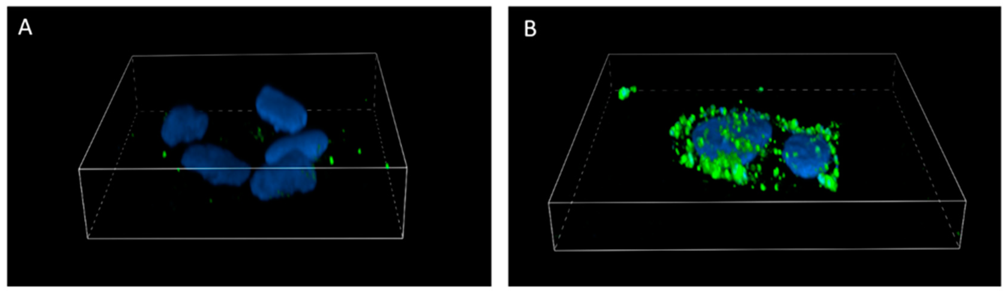 Molecules 30 03272 g005