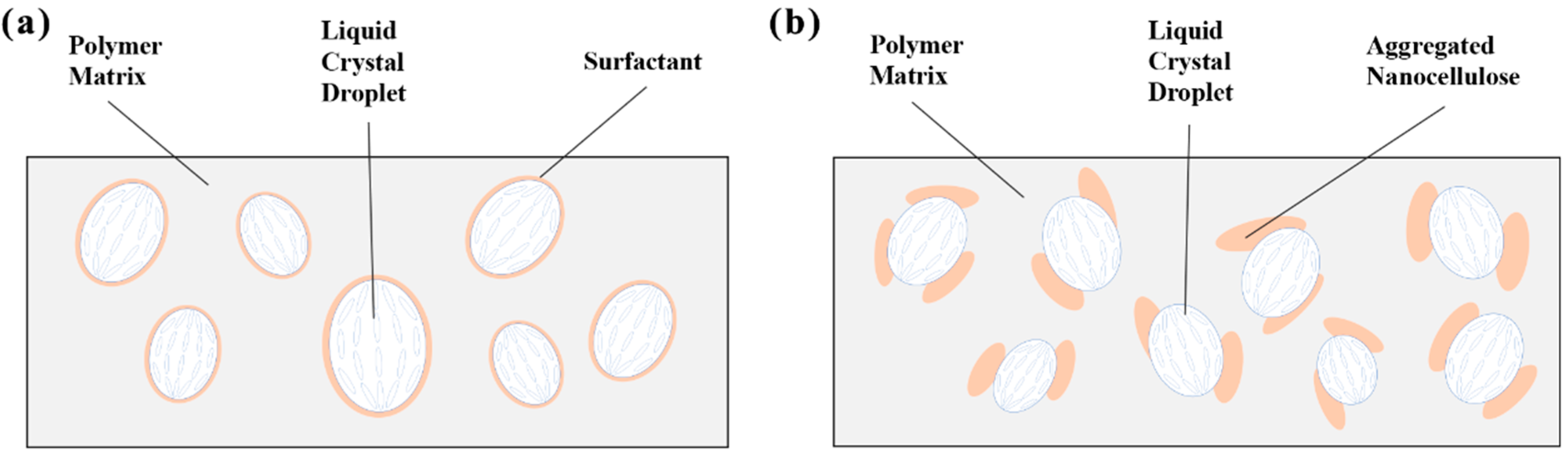 Molecules 30 03273 g004