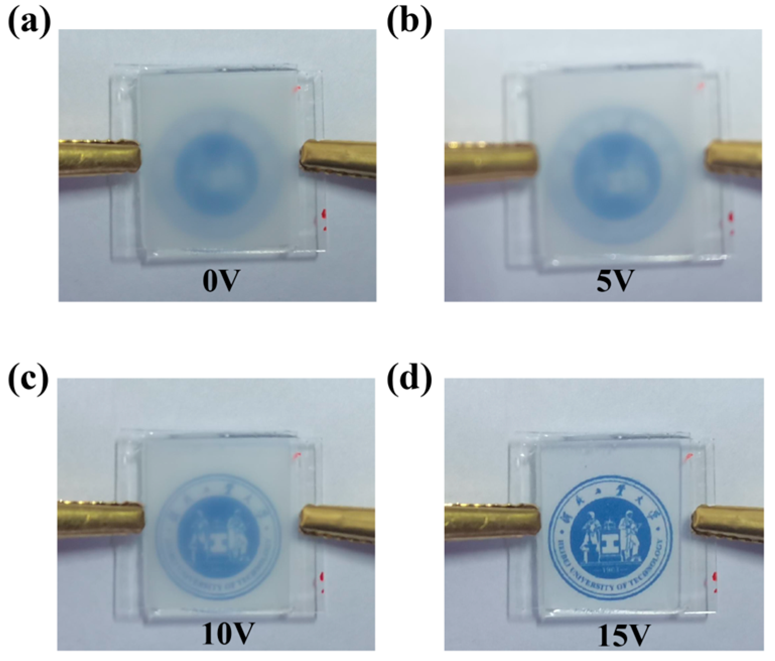 Molecules 30 03273 g011