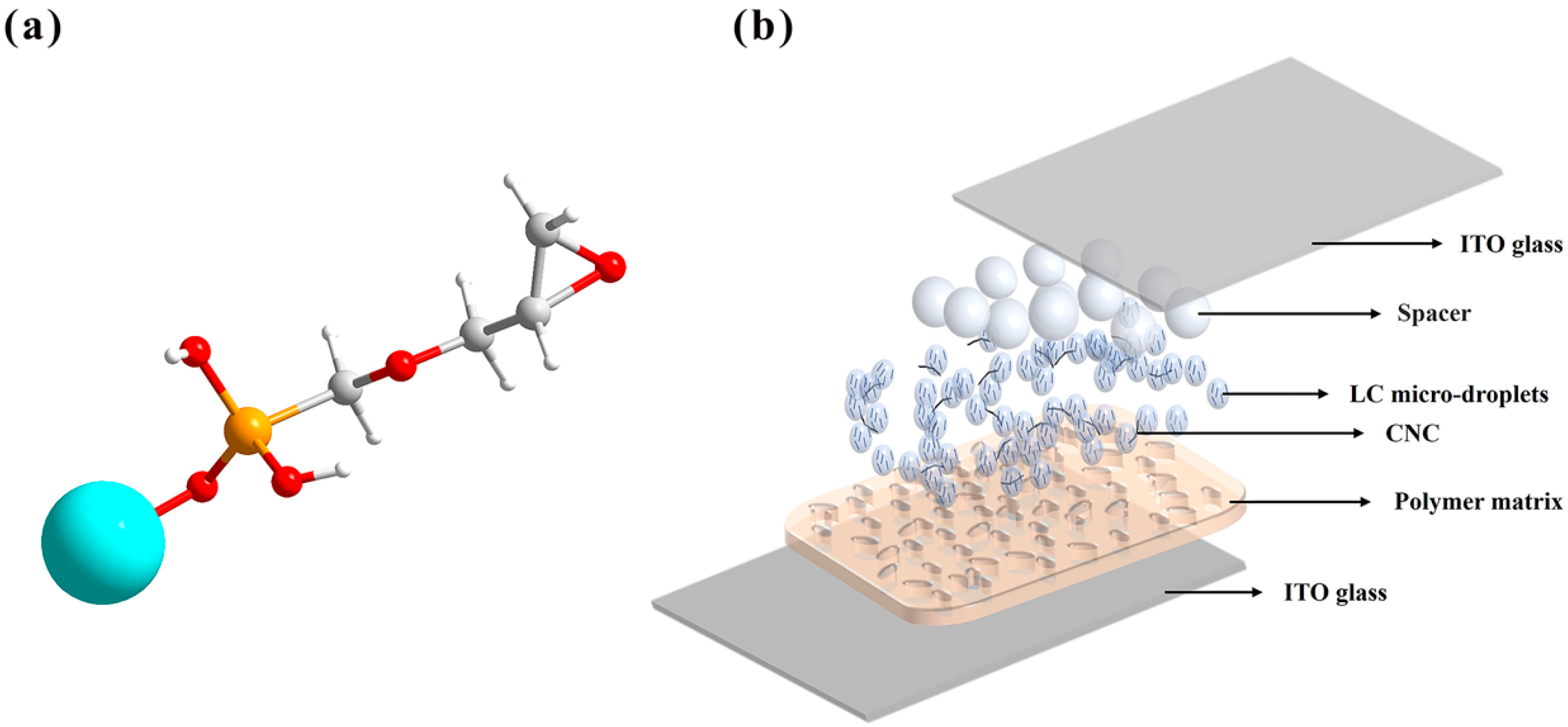 Molecules 30 03273 g012