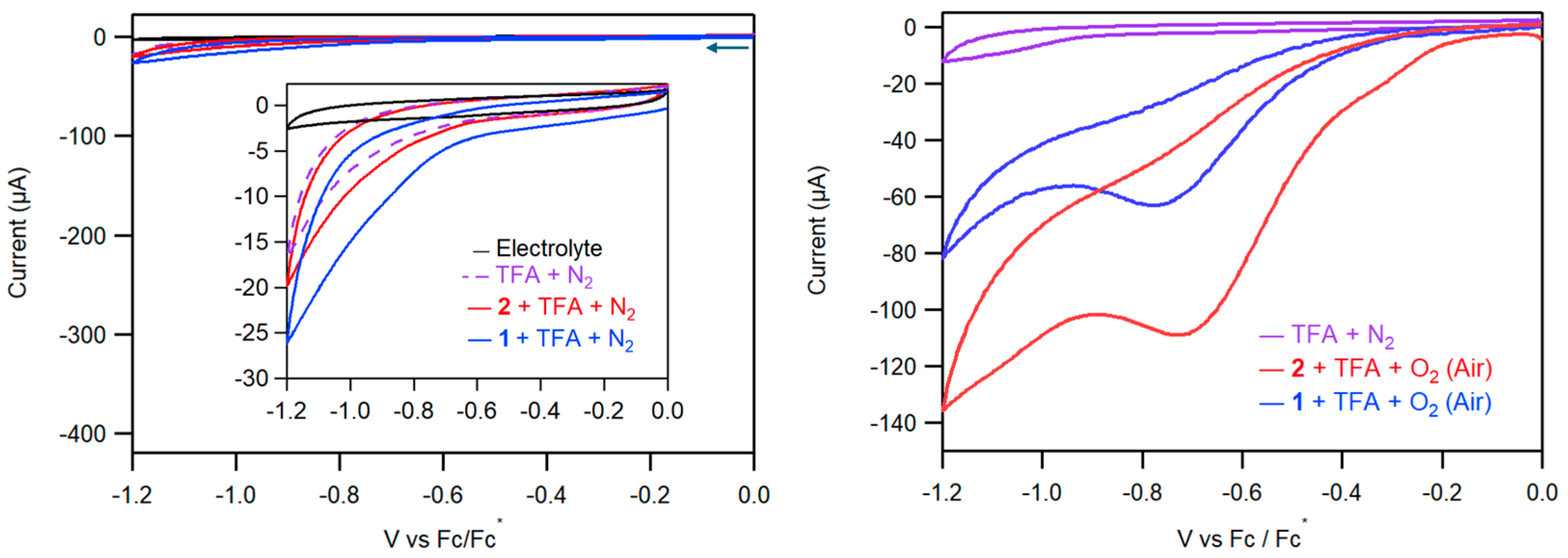 Molecules 30 03274 g004 Molecules 30 03274 g004