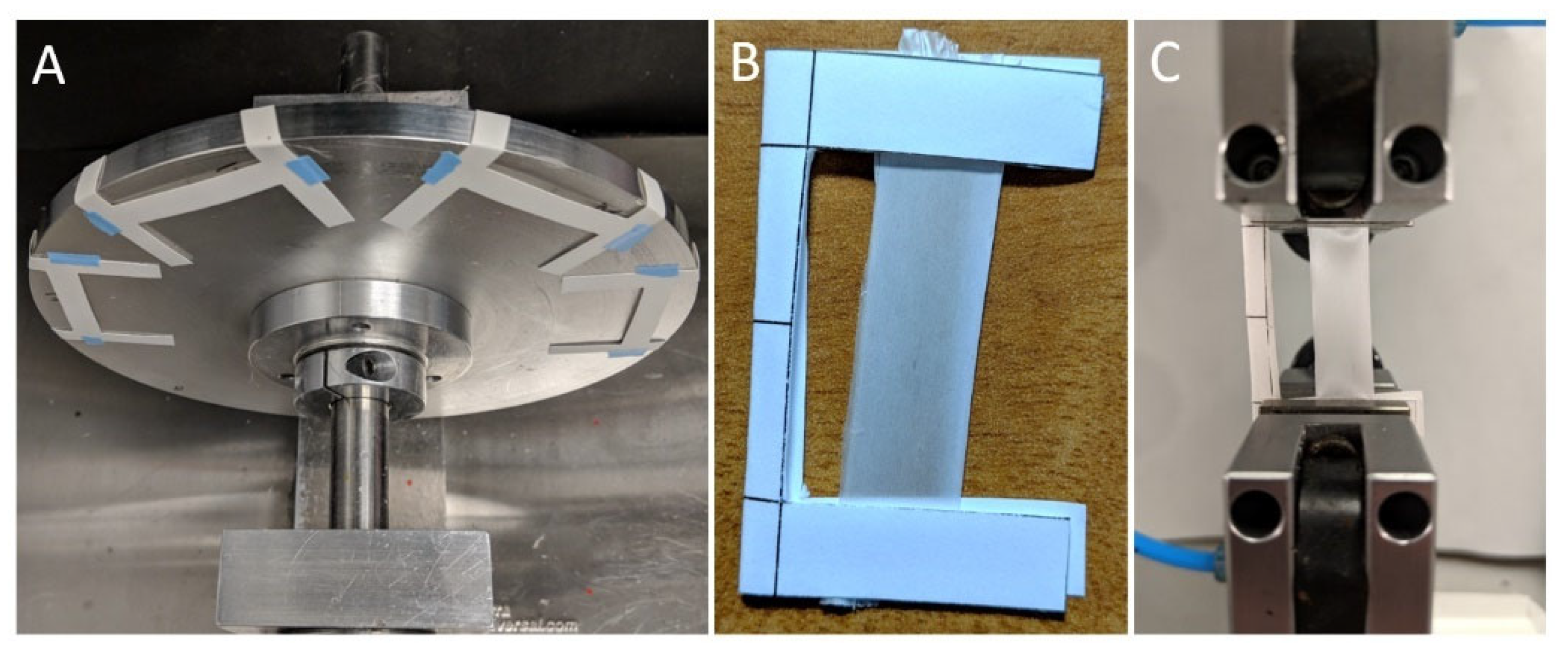 Molecules 30 03276 g004