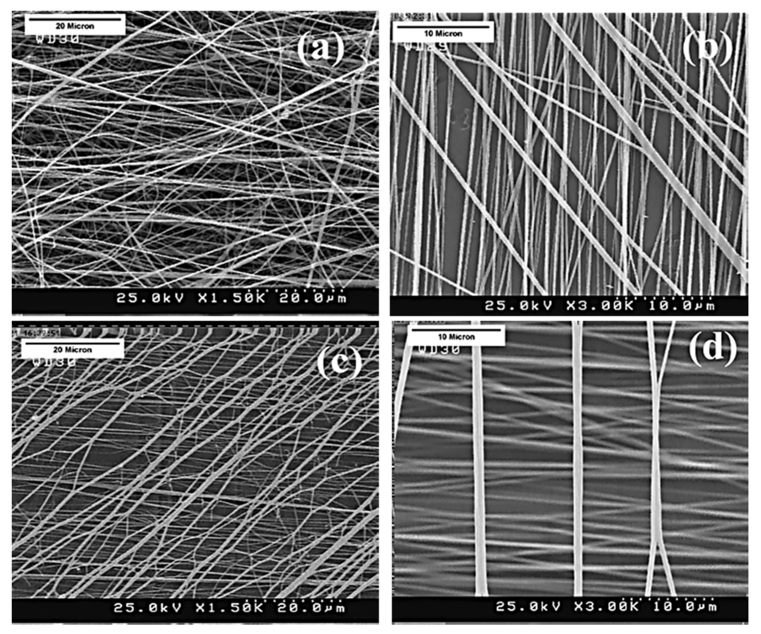 Molecules 30 03276 g010