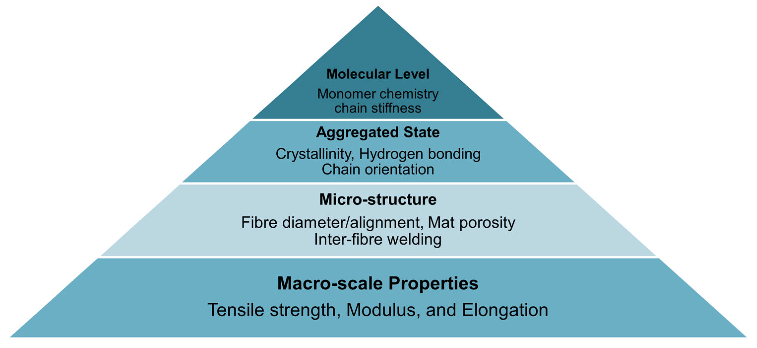 Molecules 30 03276 g012