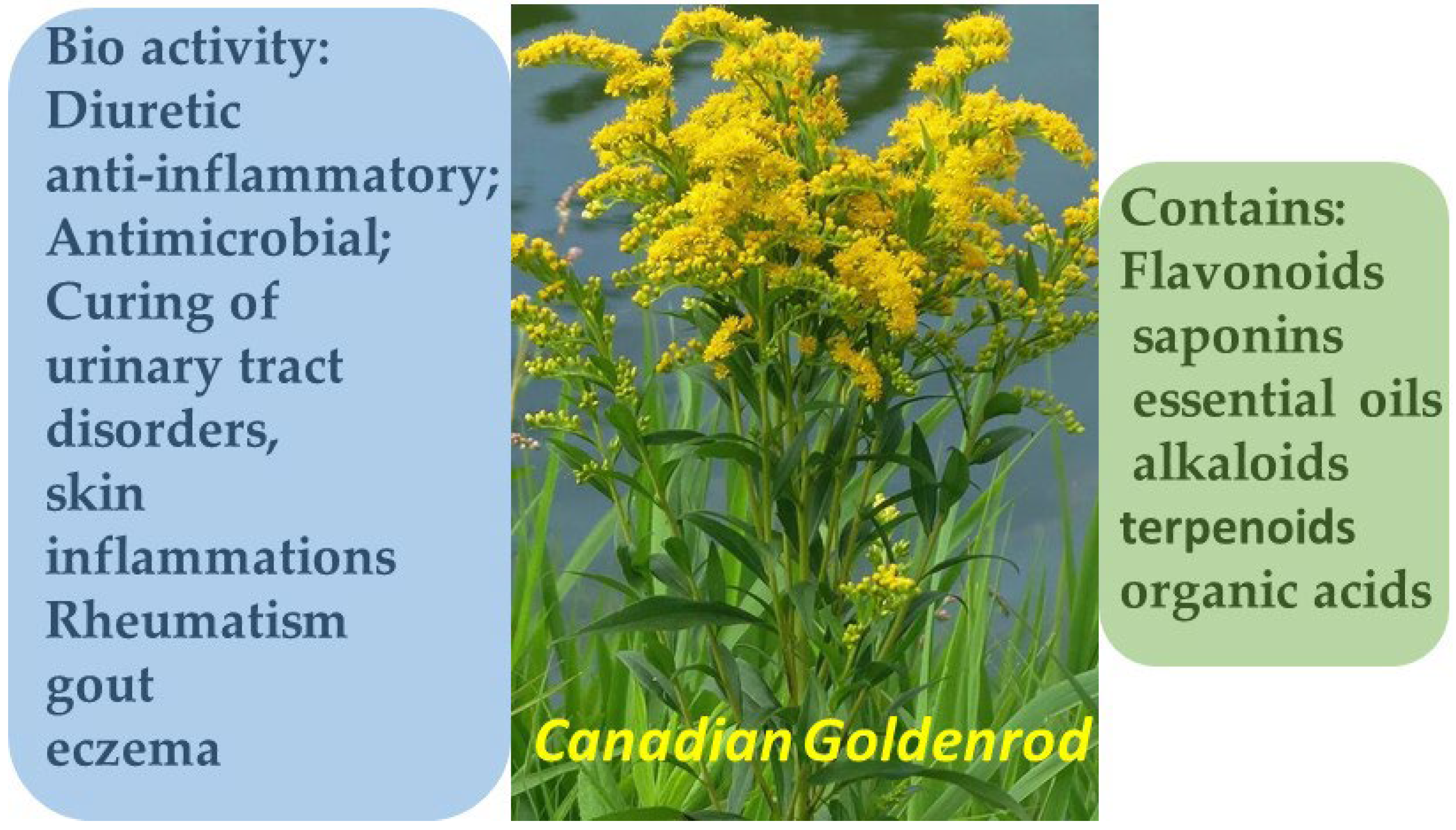 Molecules 30 03281 g005 Molecules 30 03281 g005