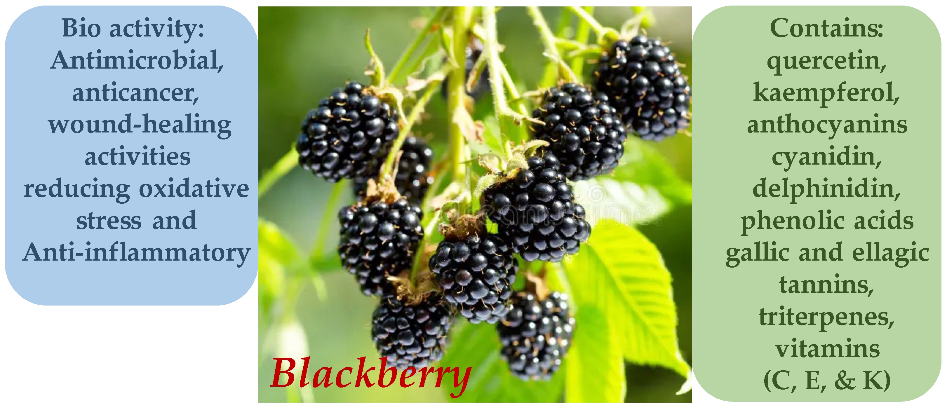 Molecules 30 03281 g009 Molecules 30 03281 g009