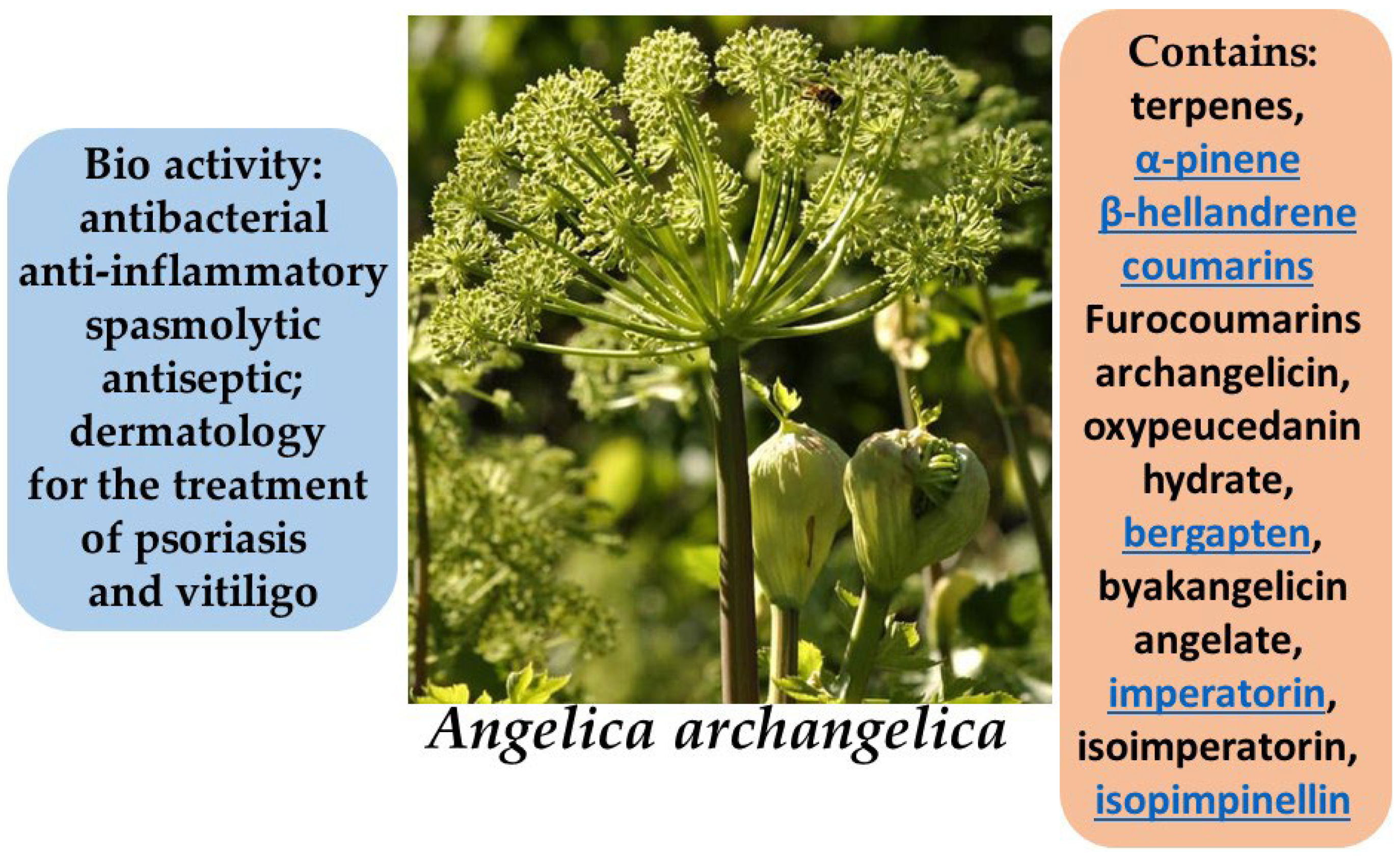 Molecules 30 03281 g015 Molecules 30 03281 g015