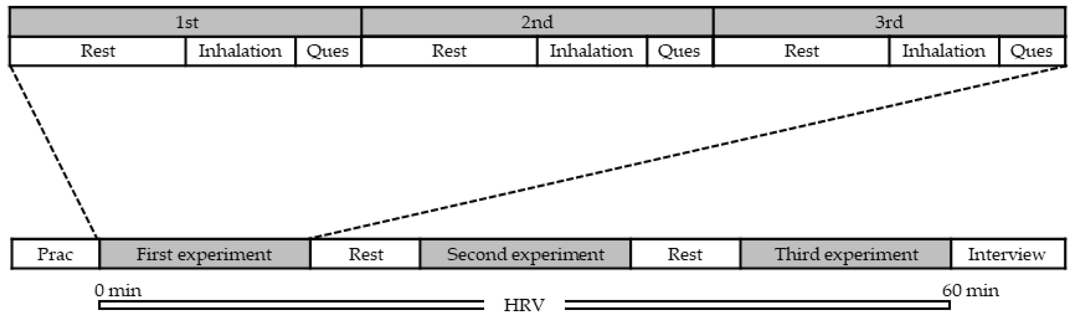 Molecules 30 03288 g004