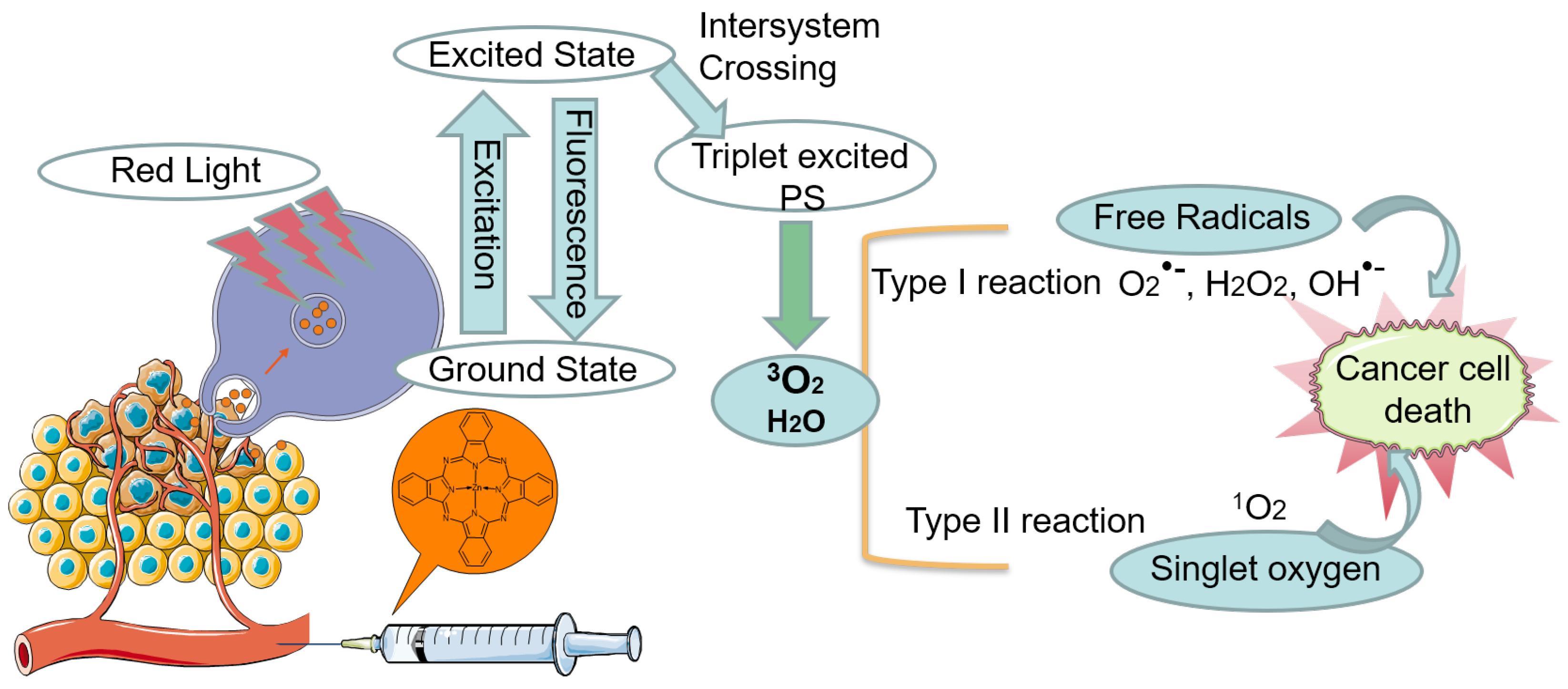 Molecules 30 03297 g001